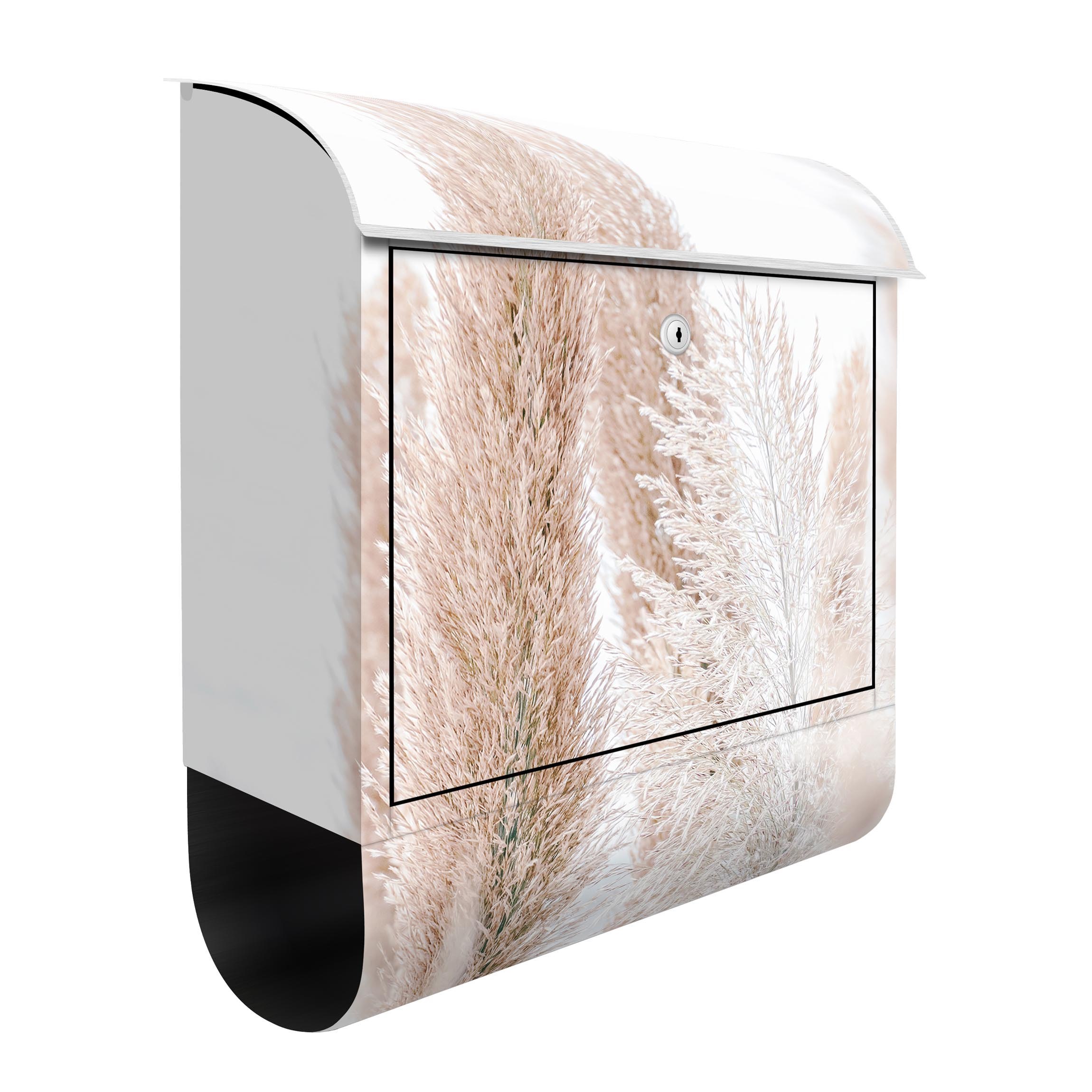 Briefkasten Pampasgras im Weißen Licht