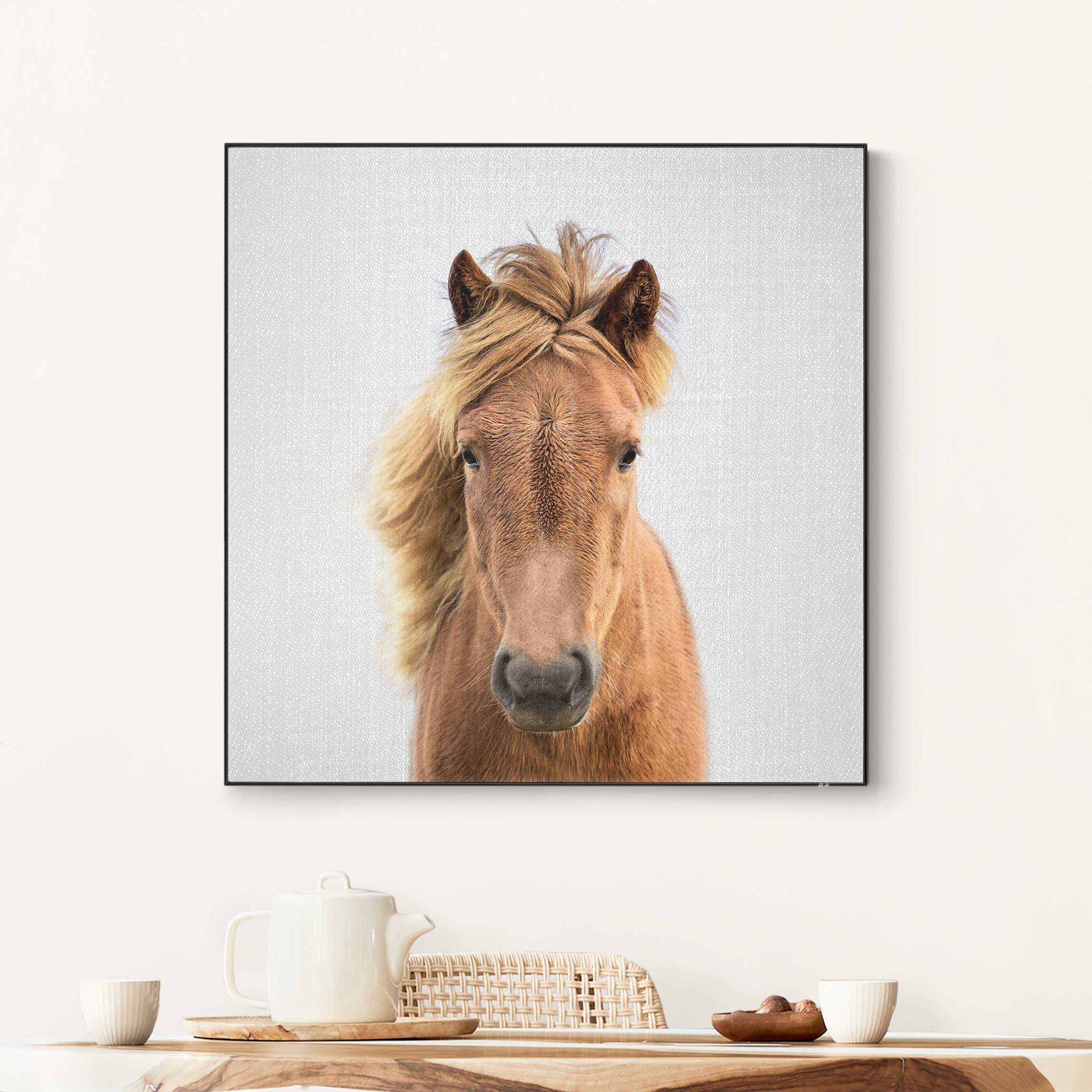 Wechselbild Pferd Pauline