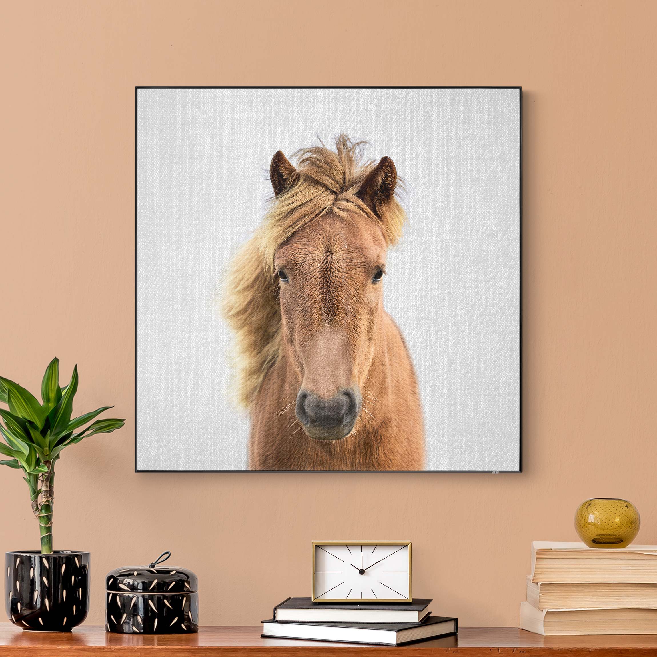 Wechselbild Pferd Pauline