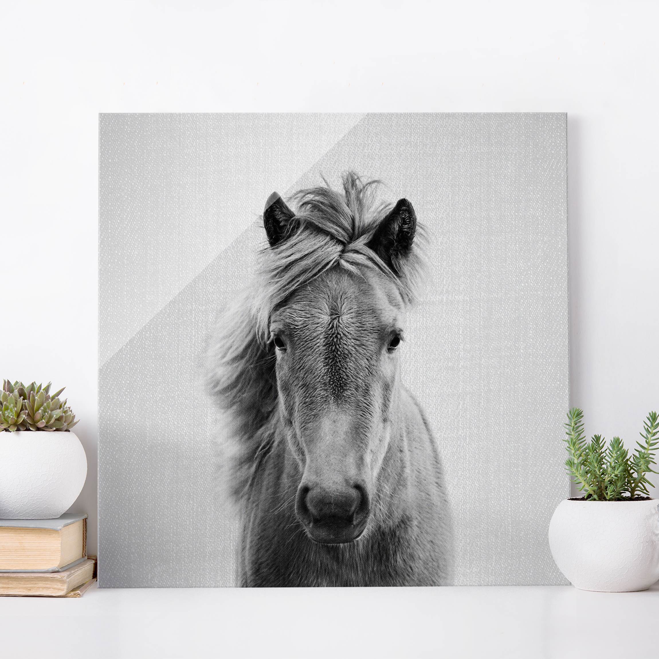 Glasbild Pferd Pauline Schwarz Weiß