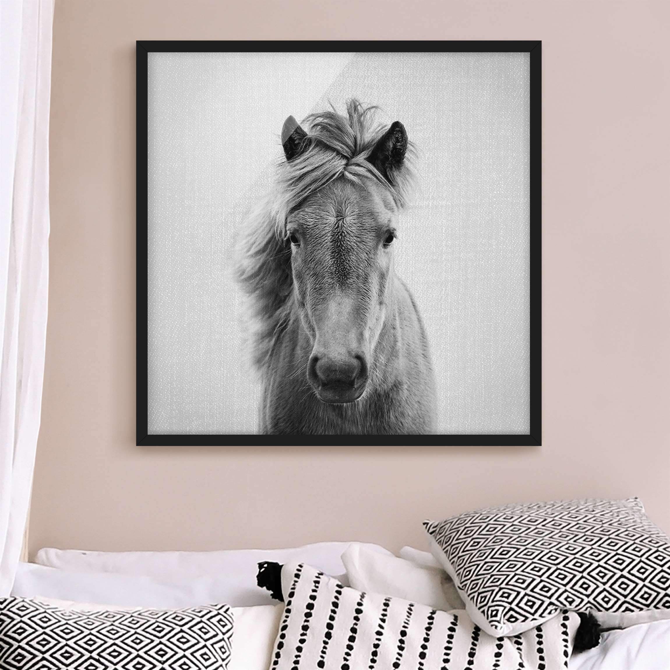 Bild mit Rahmen Pferd Pauline Schwarz Weiß