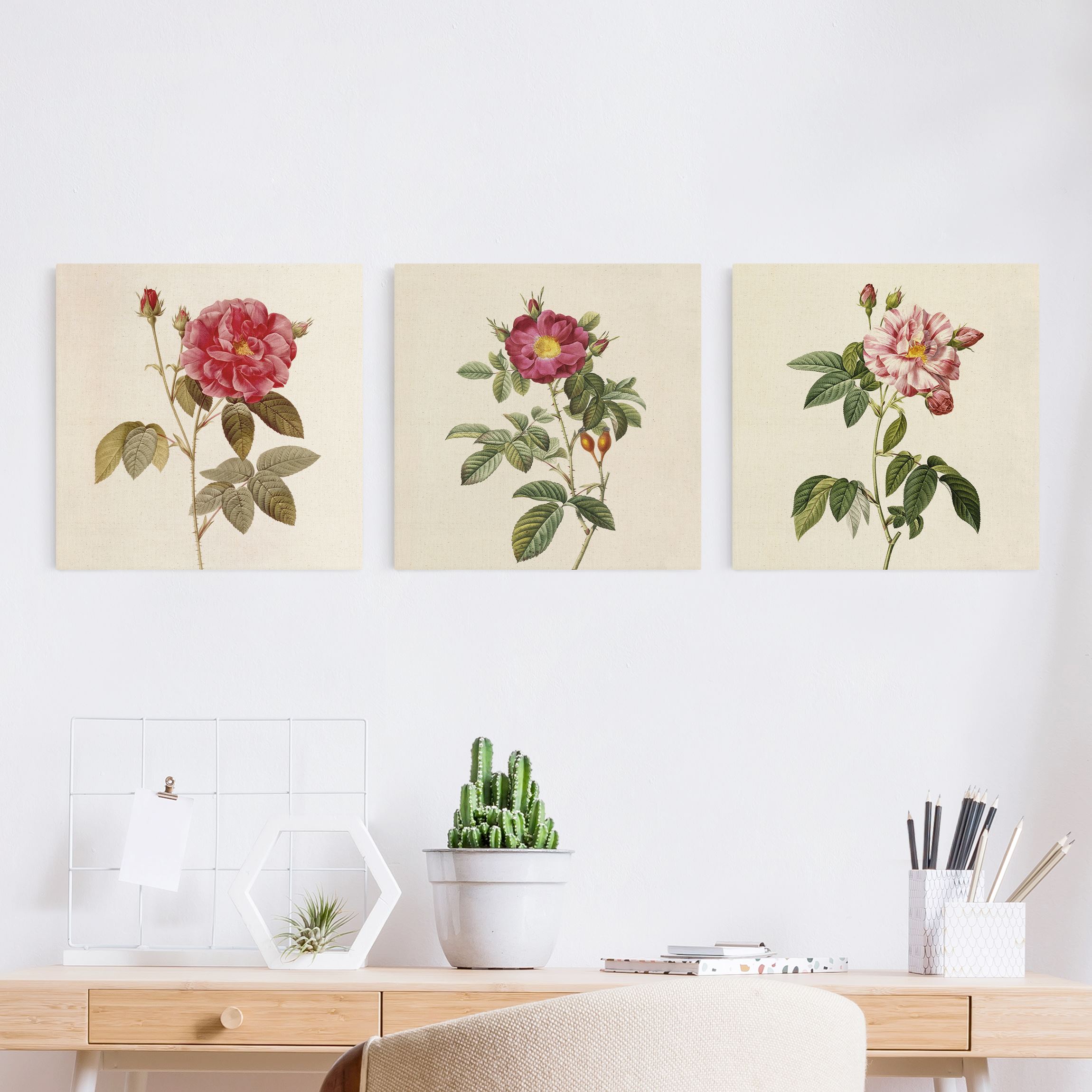 3-teiliges Leinwandbild Pierre Joseph Redouté - Rosen