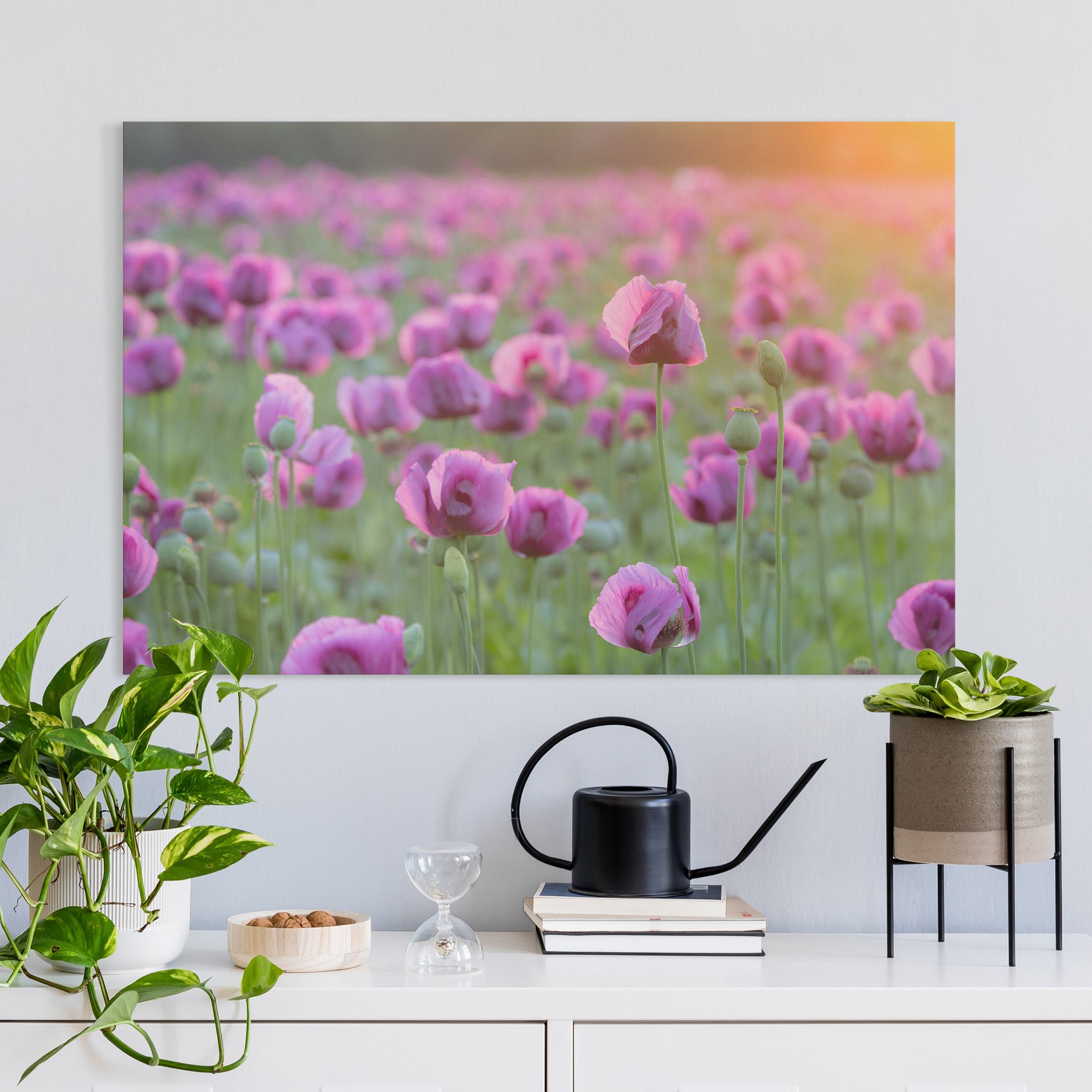 Leinwandbild Blumen Violette Schlafmohn Blumenwiese im Frühling