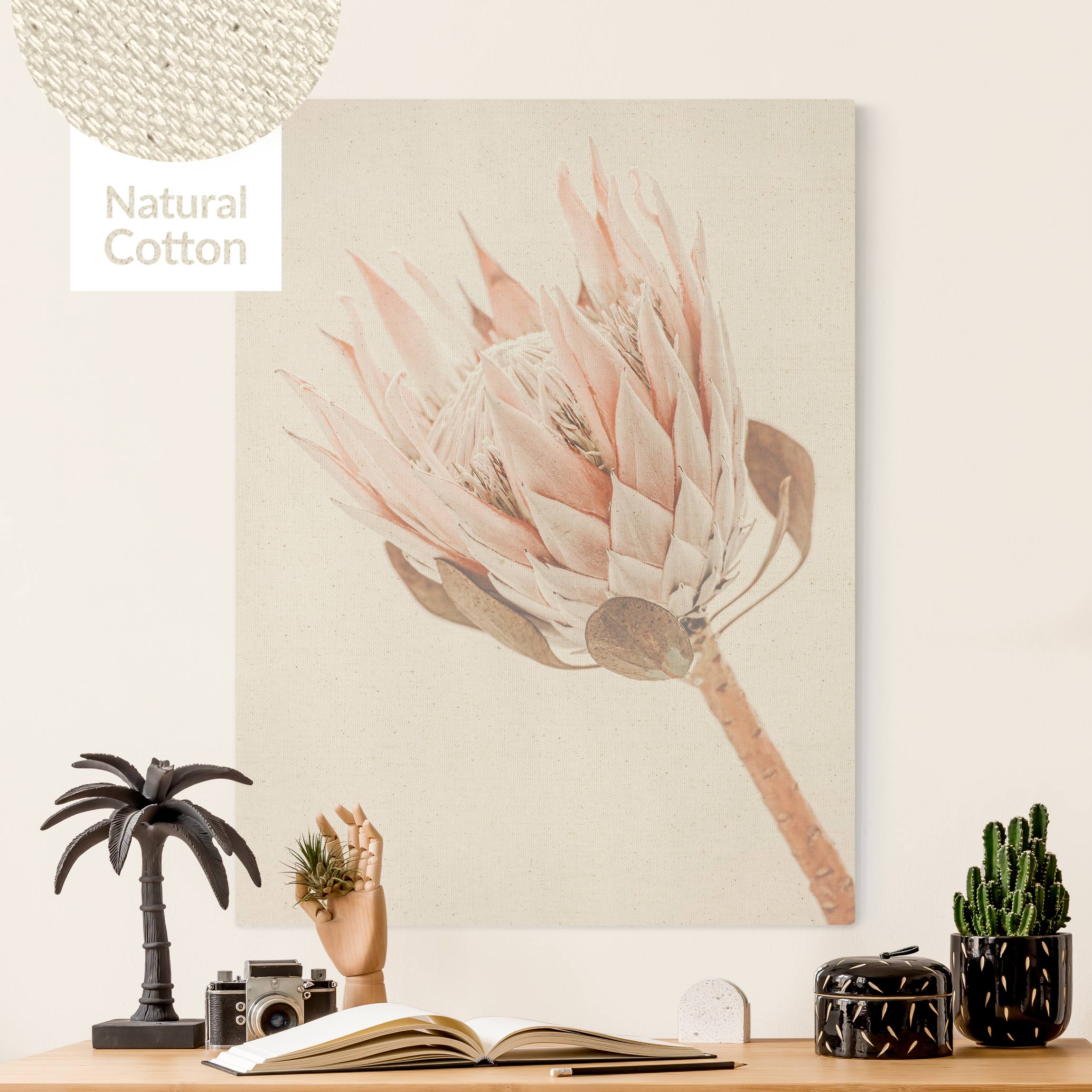 Leinwandbild auf Canvas Natural Protea Königin der Blüten