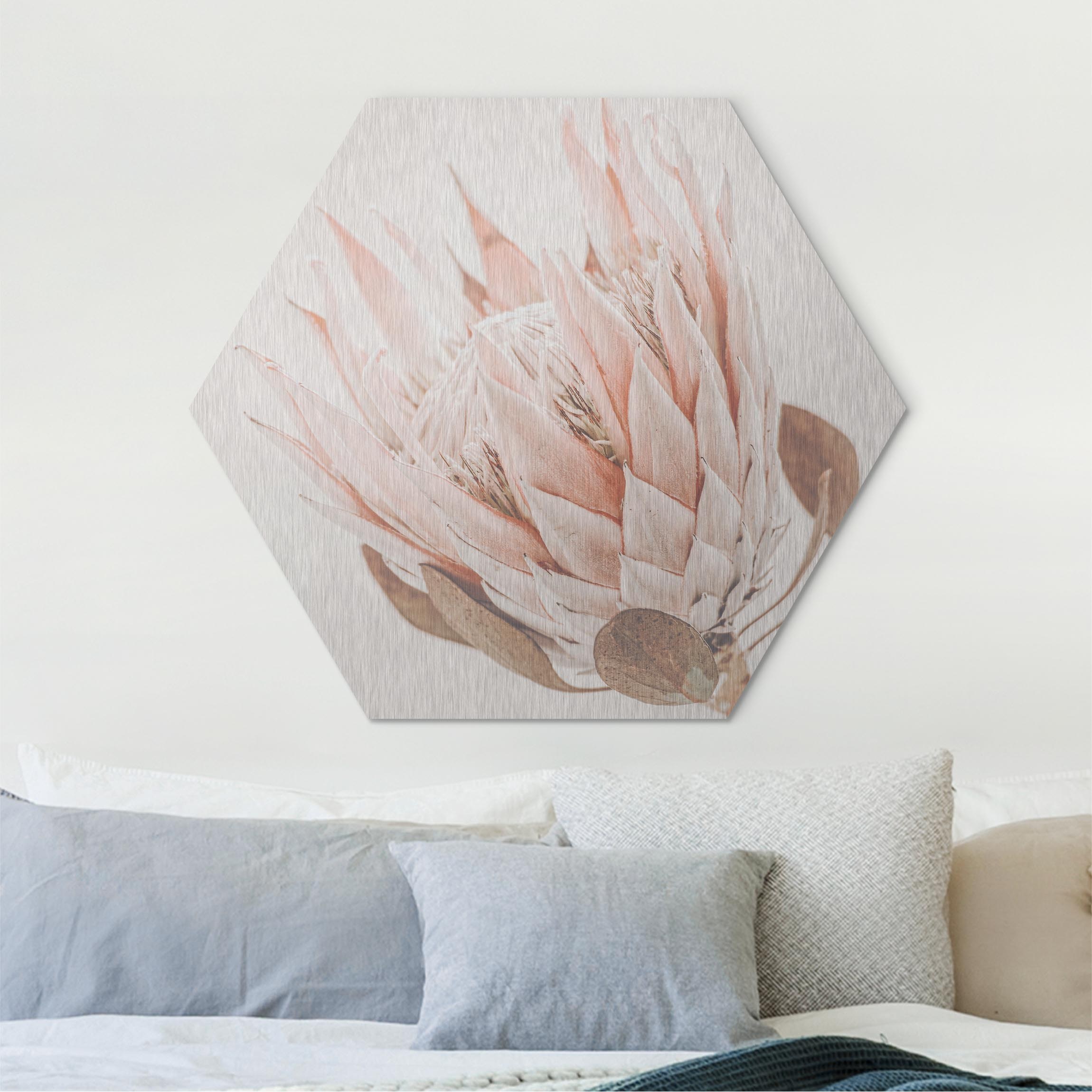 Hexagon-Alu-Dibond Bild Protea Königin der Blüten