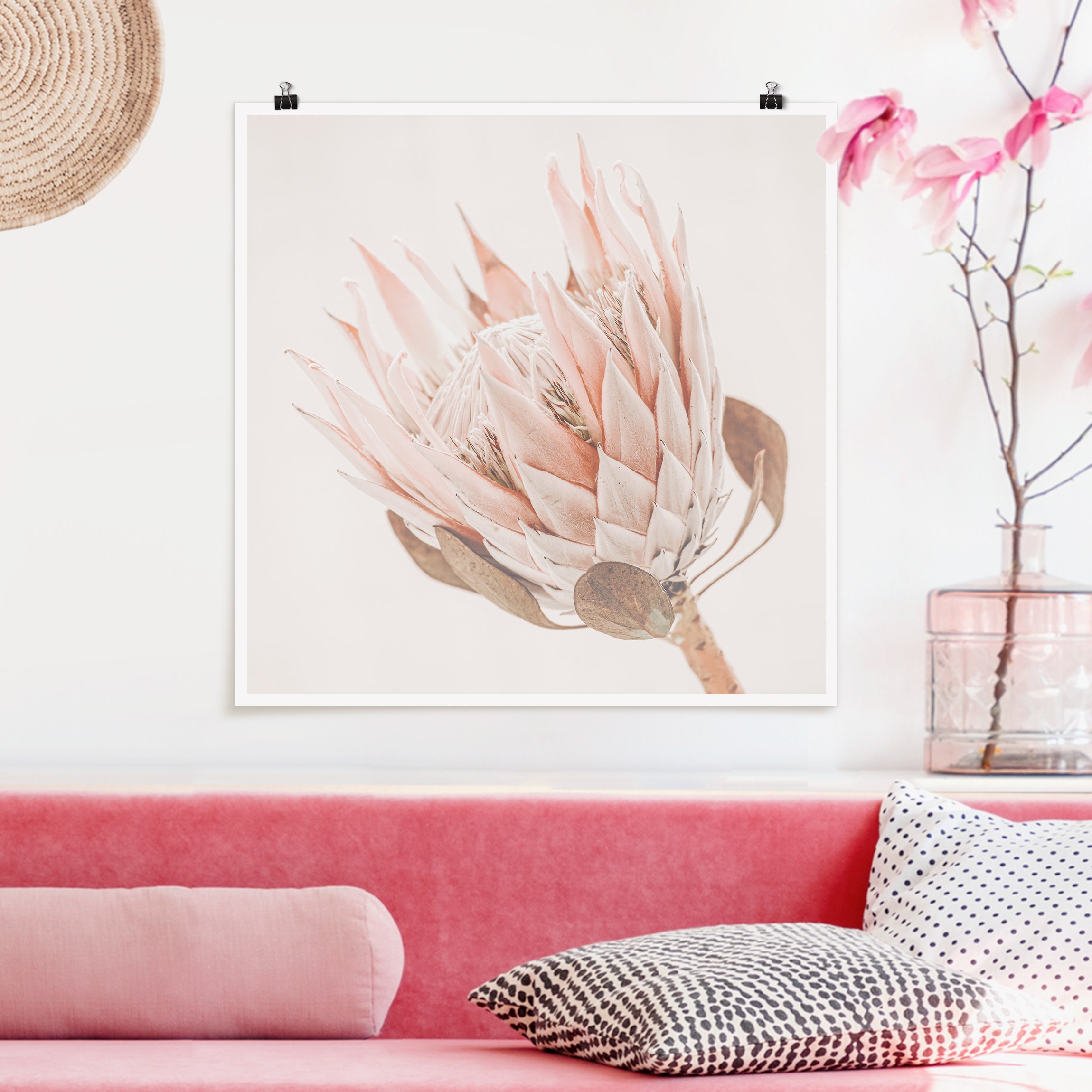 Poster Protea Königin der Blüten