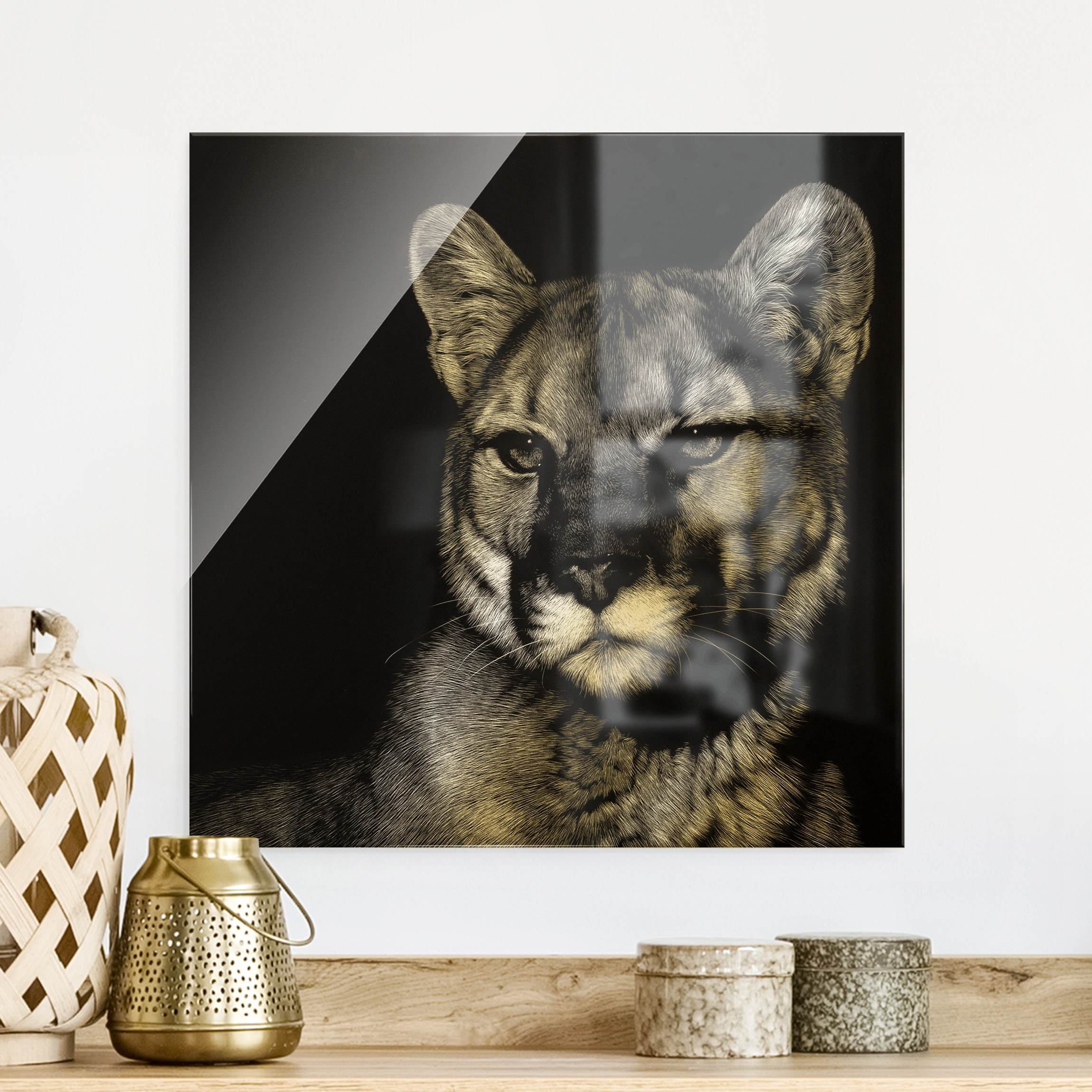 Glasbild Puma vor Schwarz