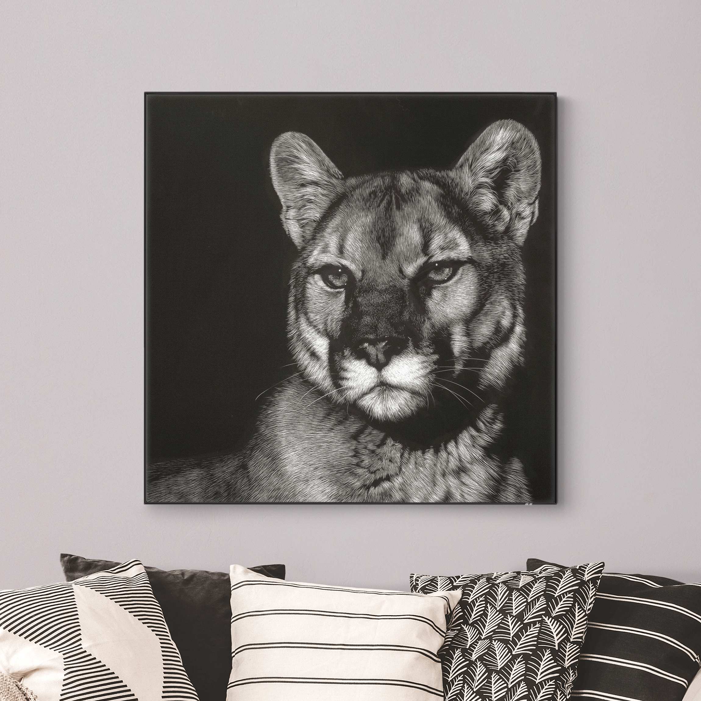 Wechselbild Puma vor Schwarz