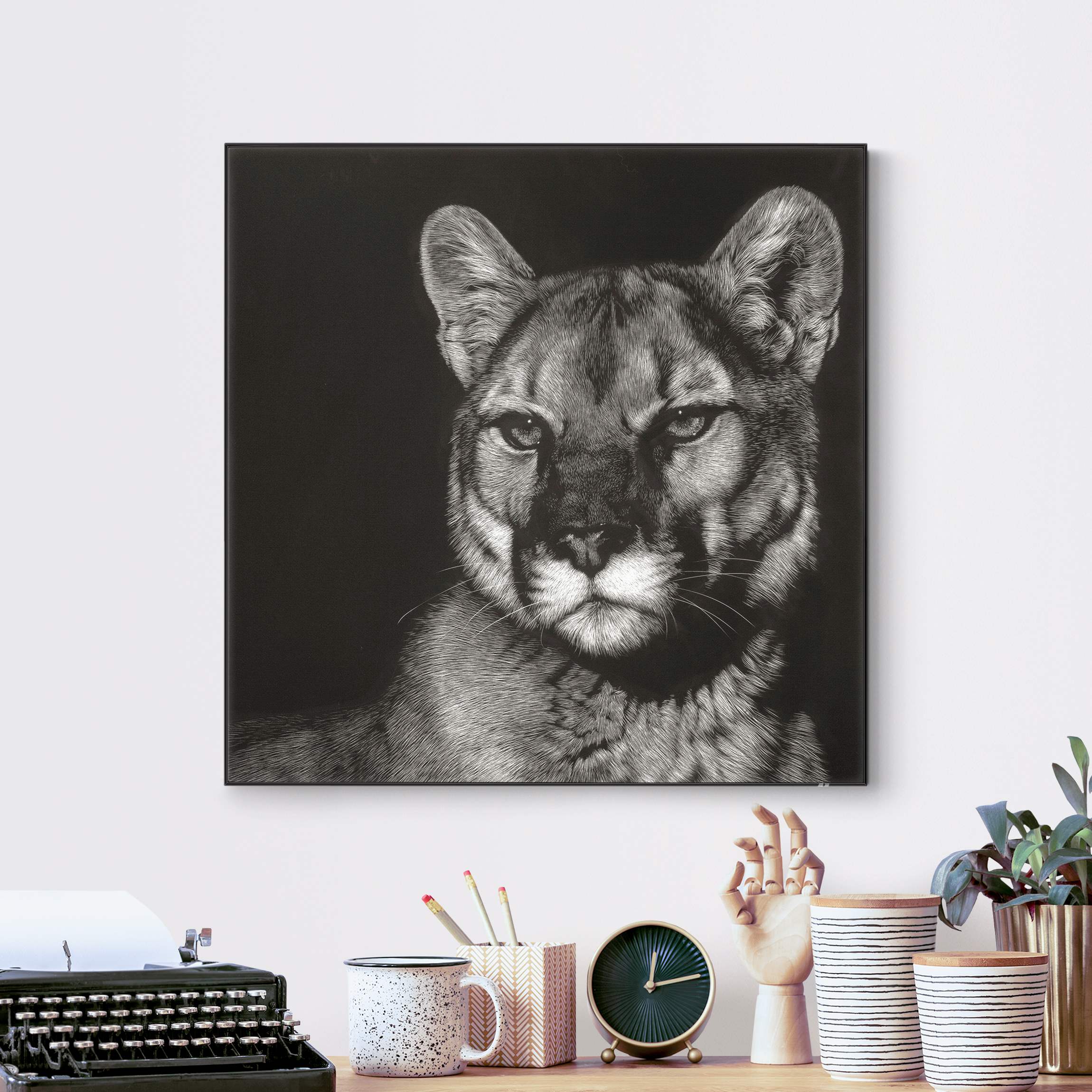 Wechselbild Puma vor Schwarz