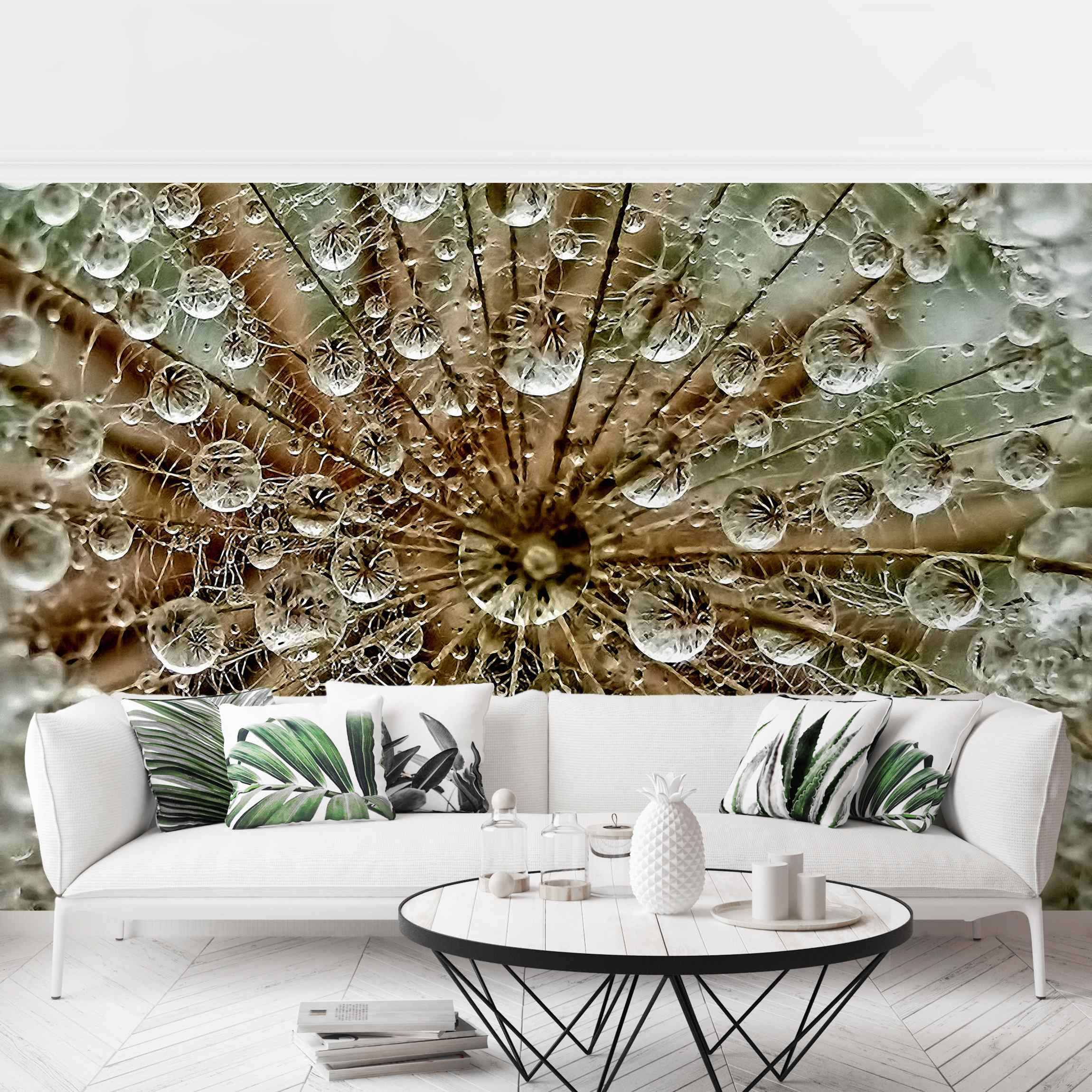 Fototapete Blumen Pusteblume im Herbst