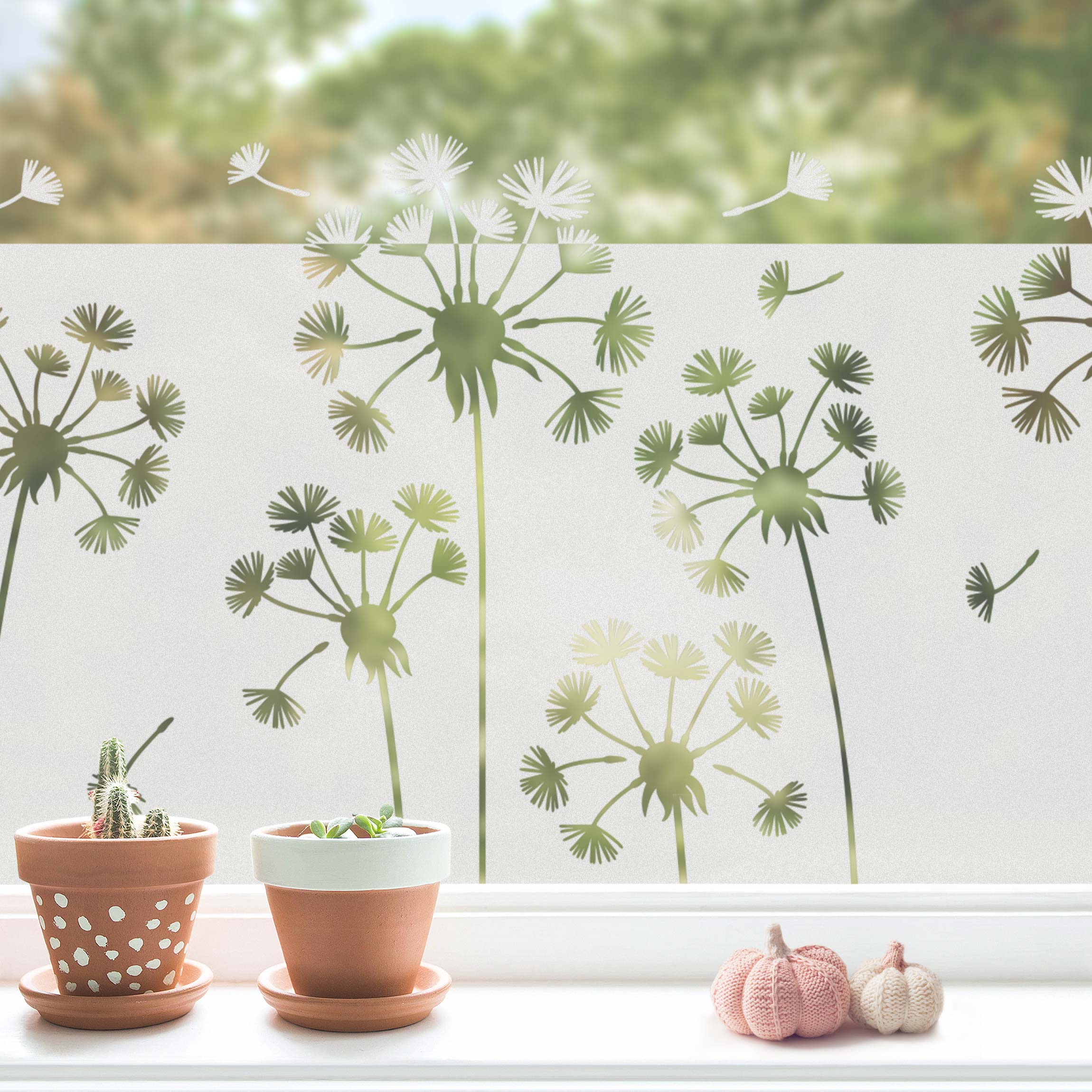 Fensterfolie Sichtschutz Pusteblumen Bordüre