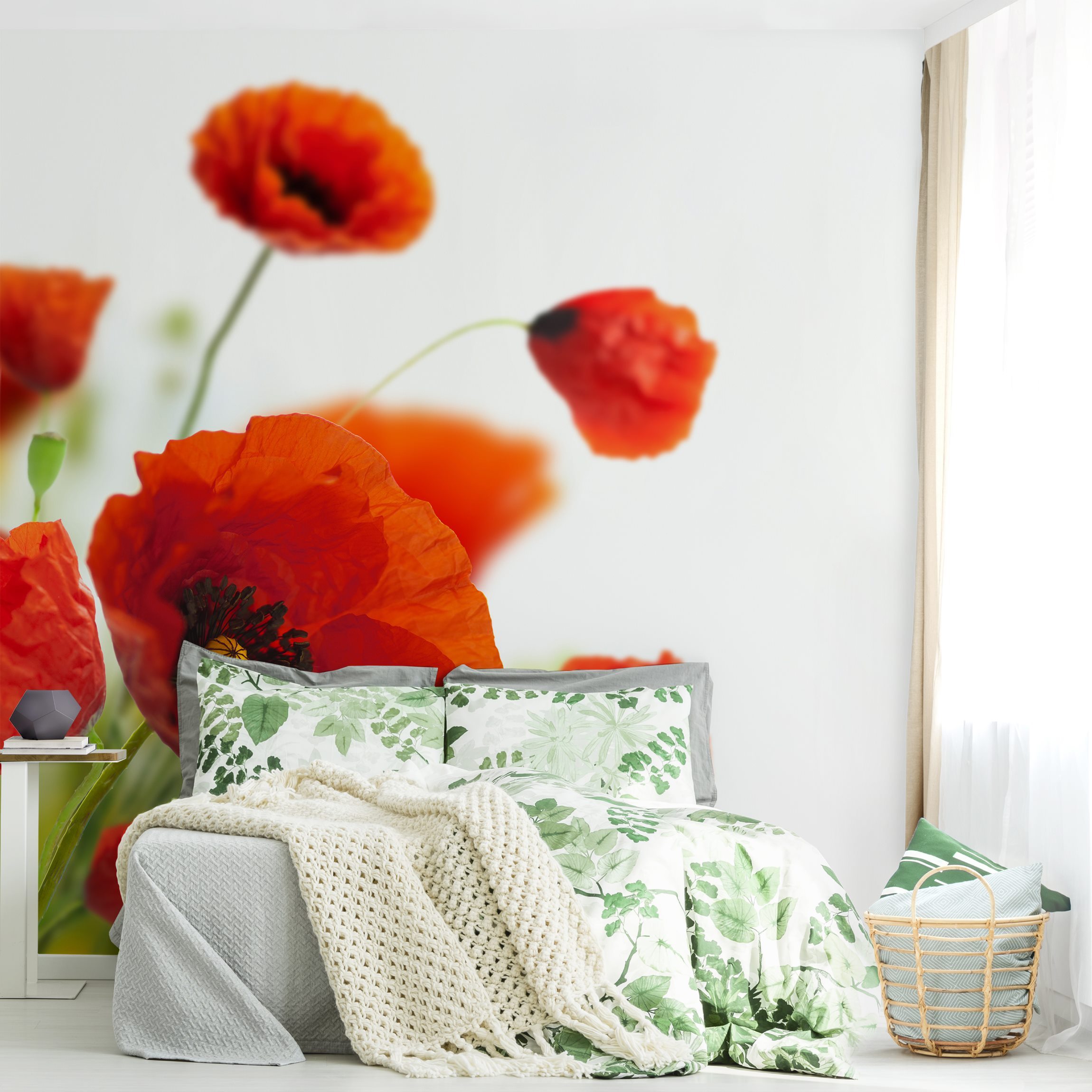 Fototapete Blumen Radiant Poppies