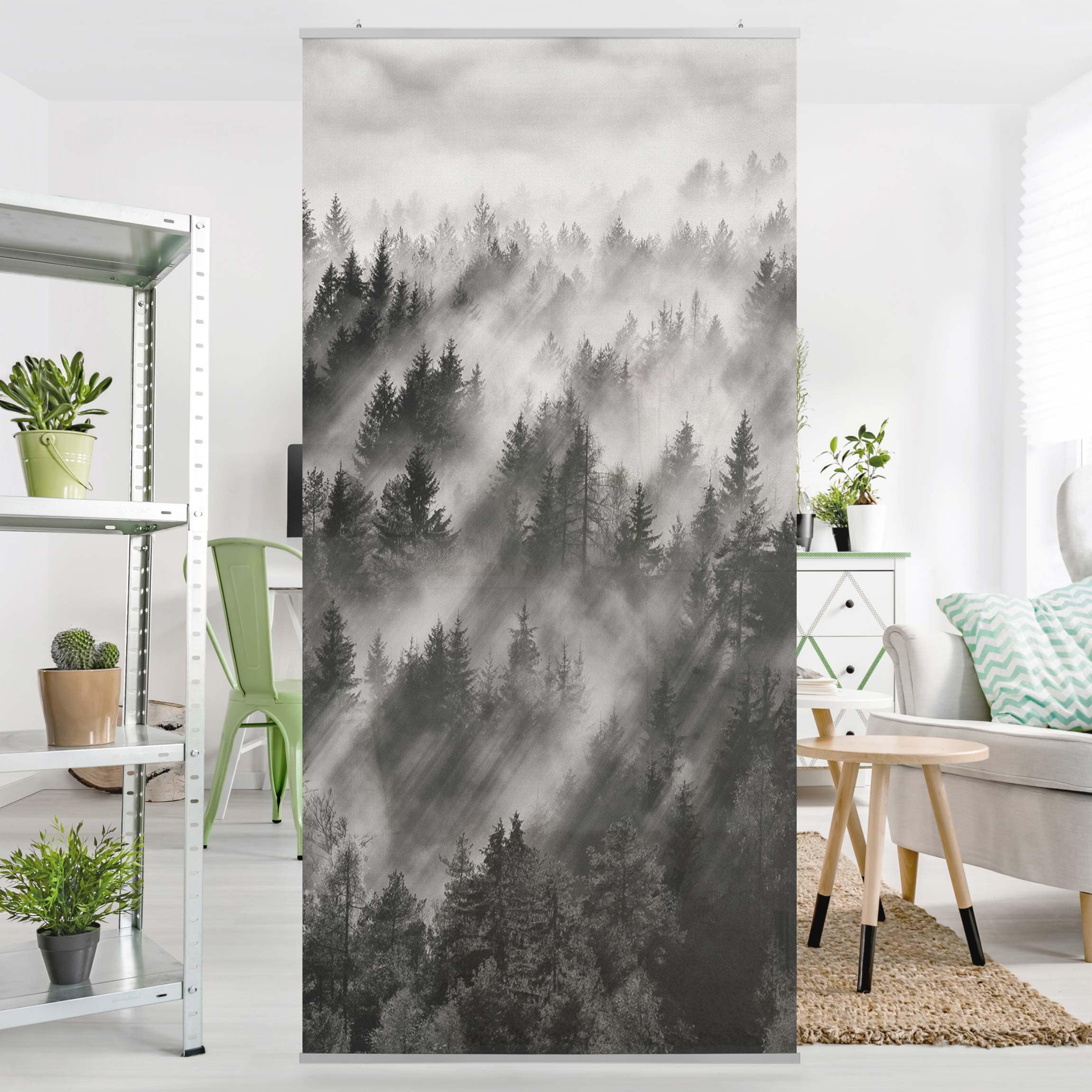 Raumteiler Lichtstrahlen im Nadelwald