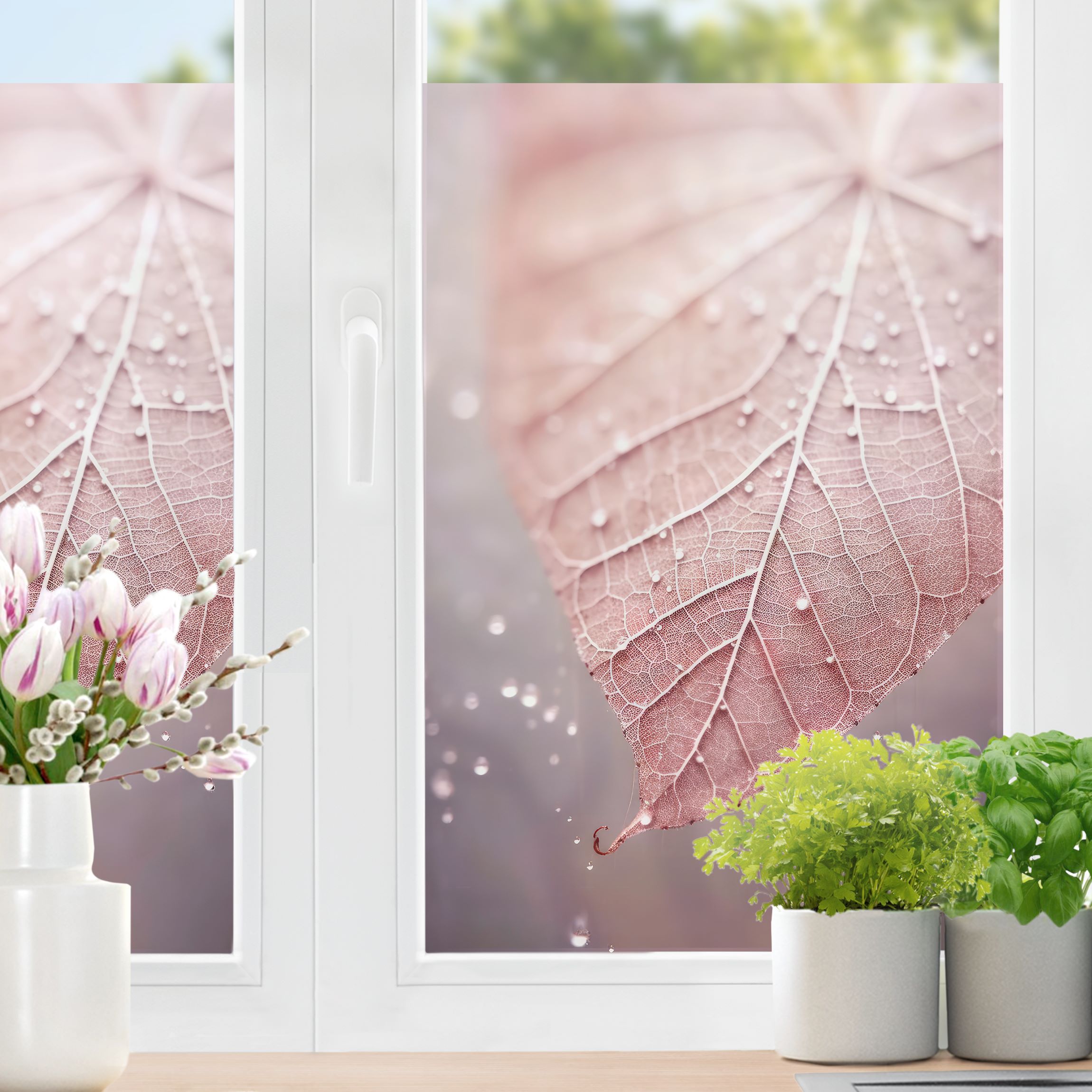 Fensterfolie Rosa Blatt Close-Up
