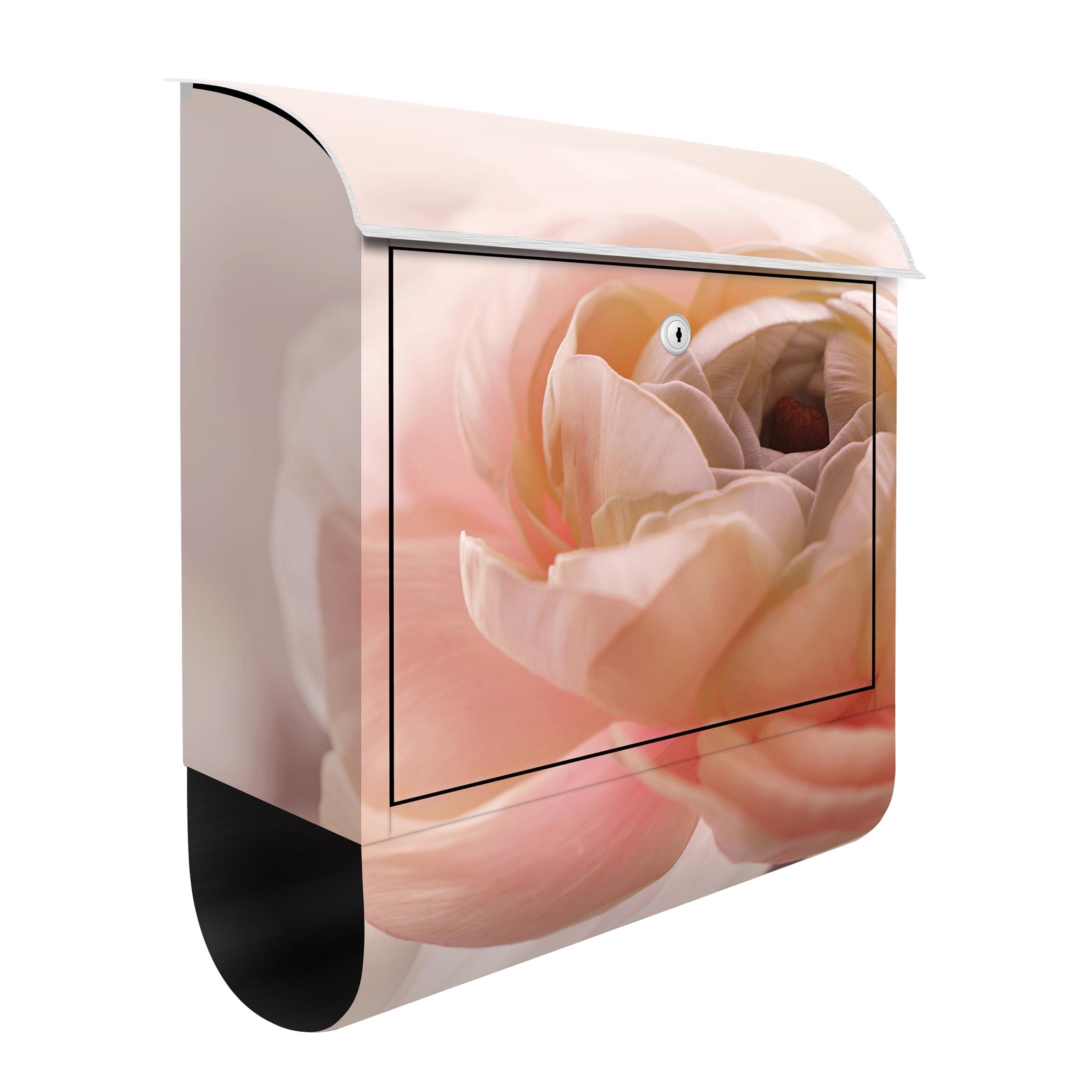 Briefkasten Rosa Blüte im Fokus
