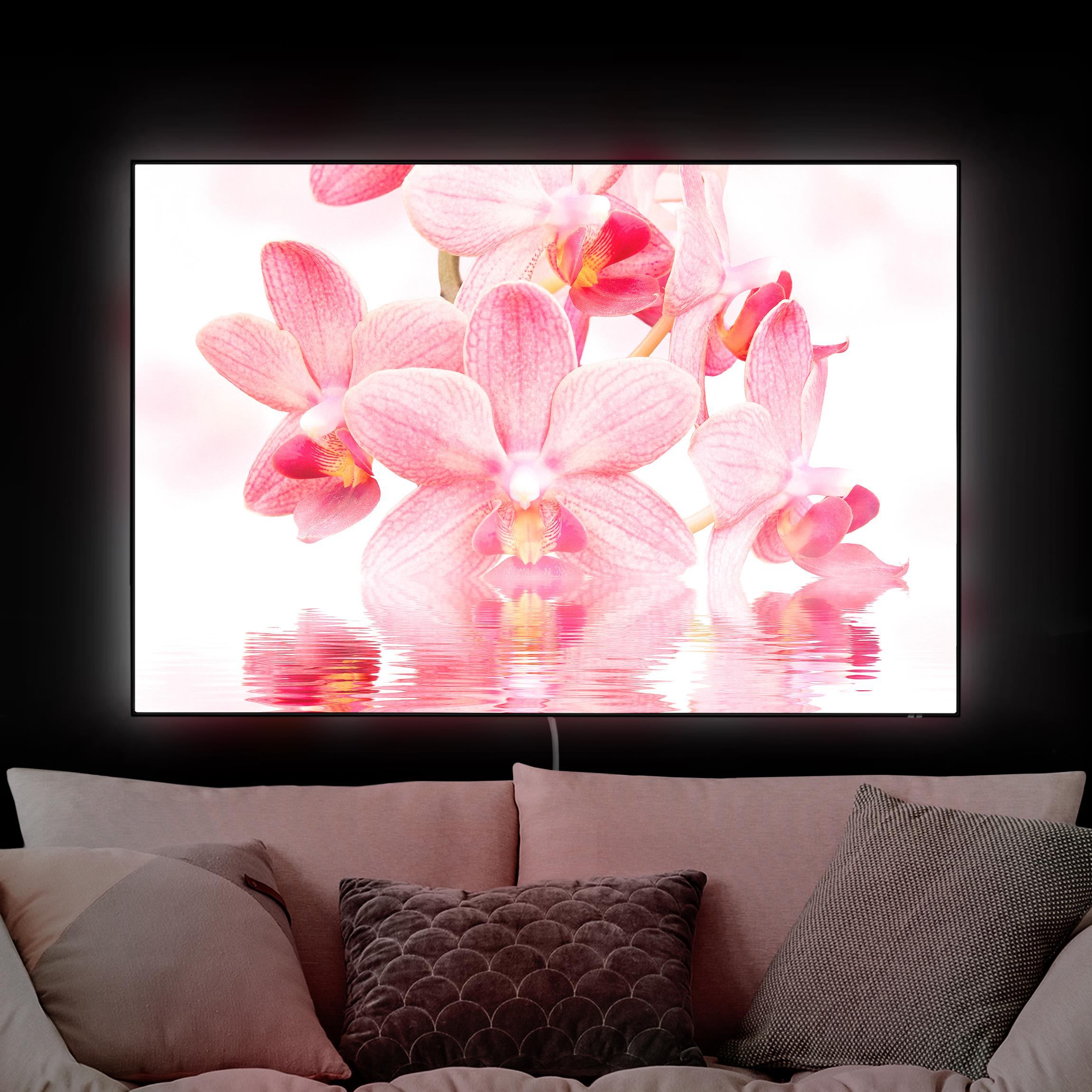 LED-Wechselbild Rosa Orchideen auf Wasser