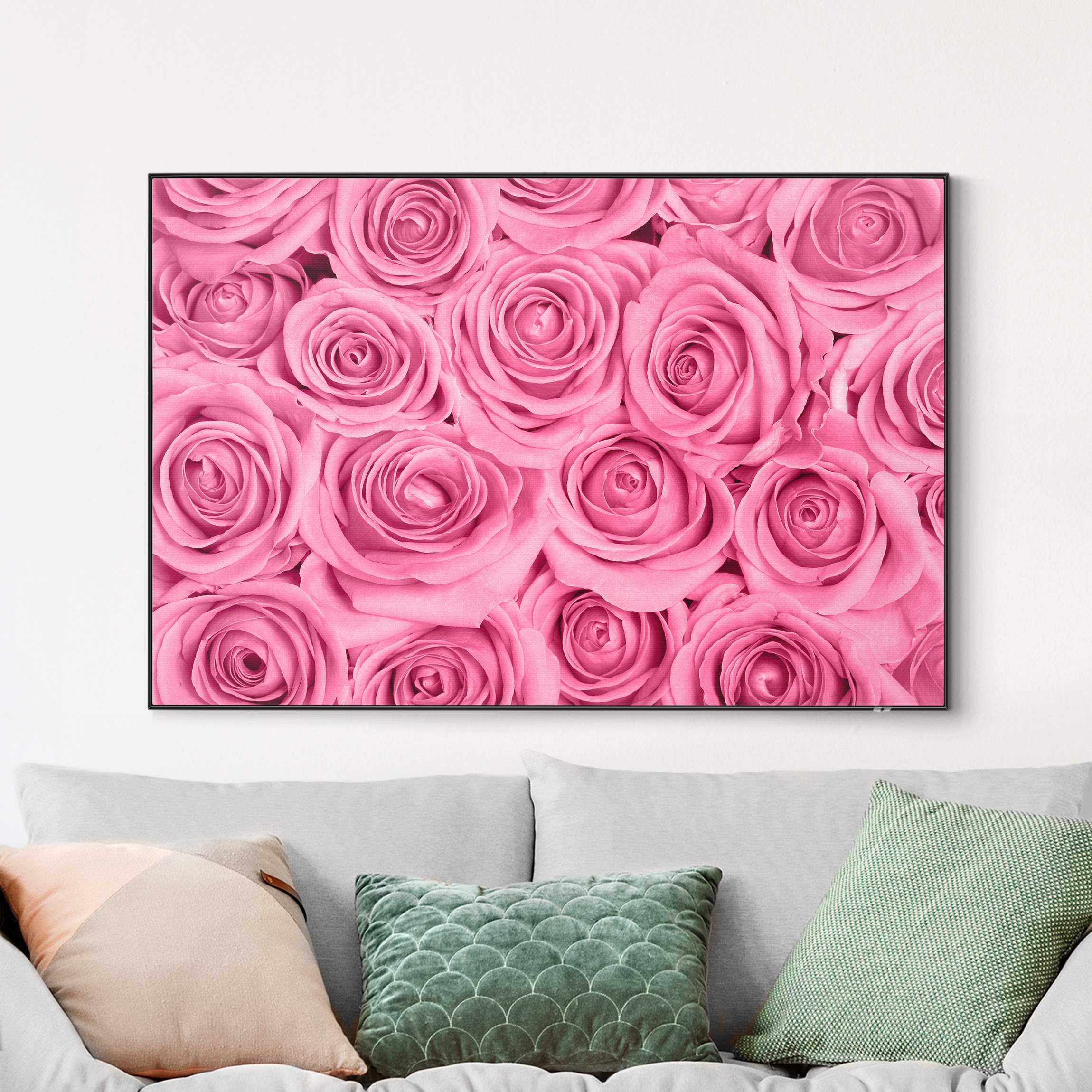 Wechselbild Rosa Rosen