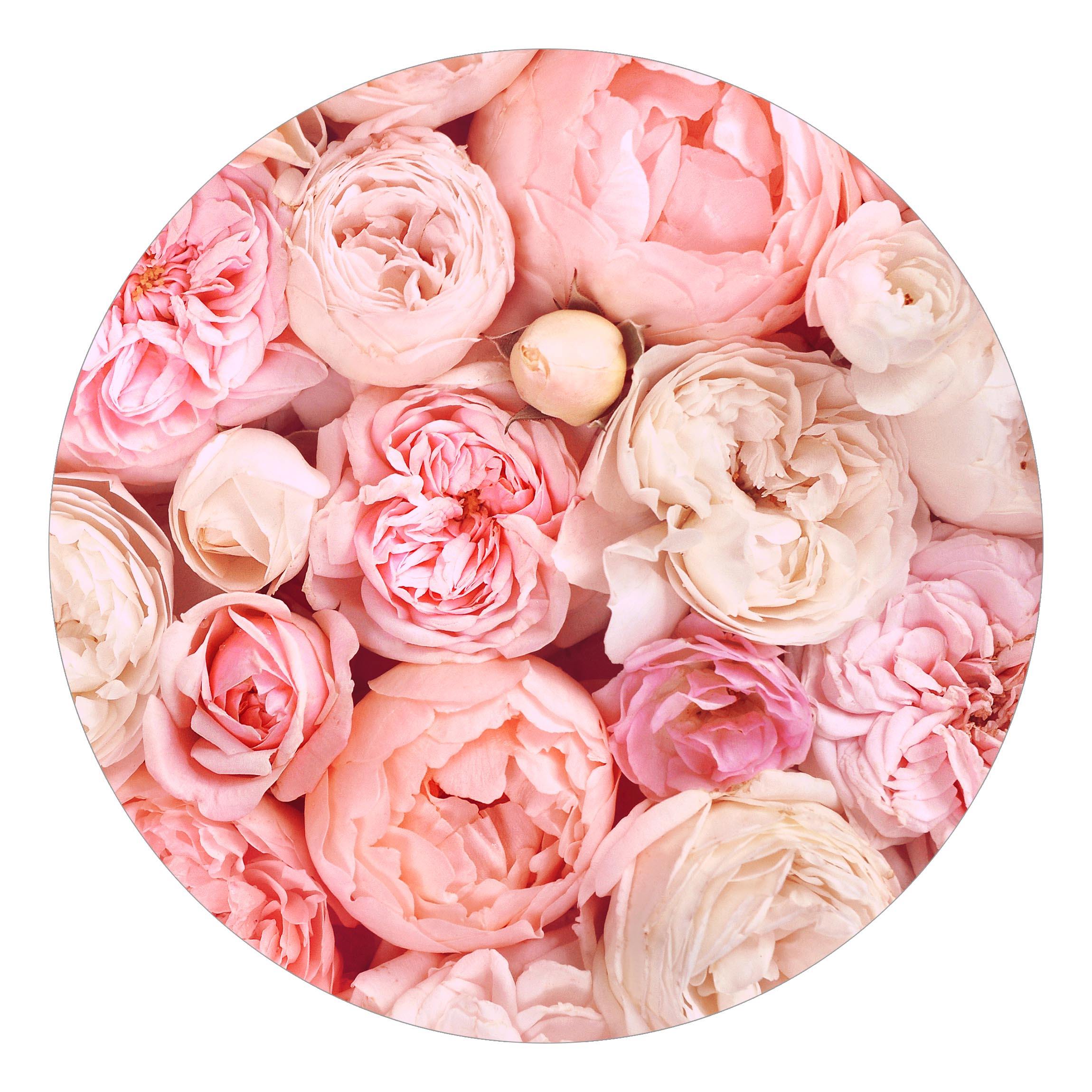 Runde Fototapete Rosen Rosé Koralle Shabby