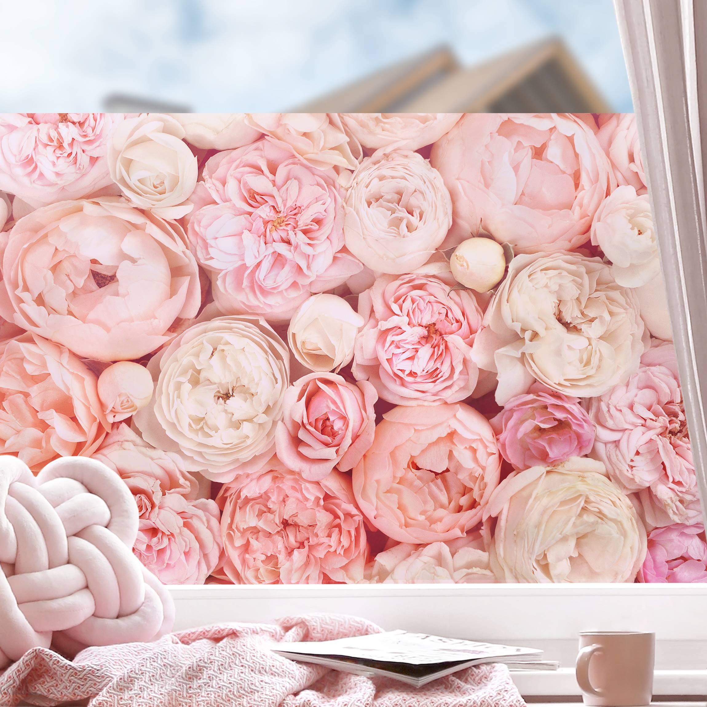 Fensterfolie Rosen Rosé Koralle Shabby