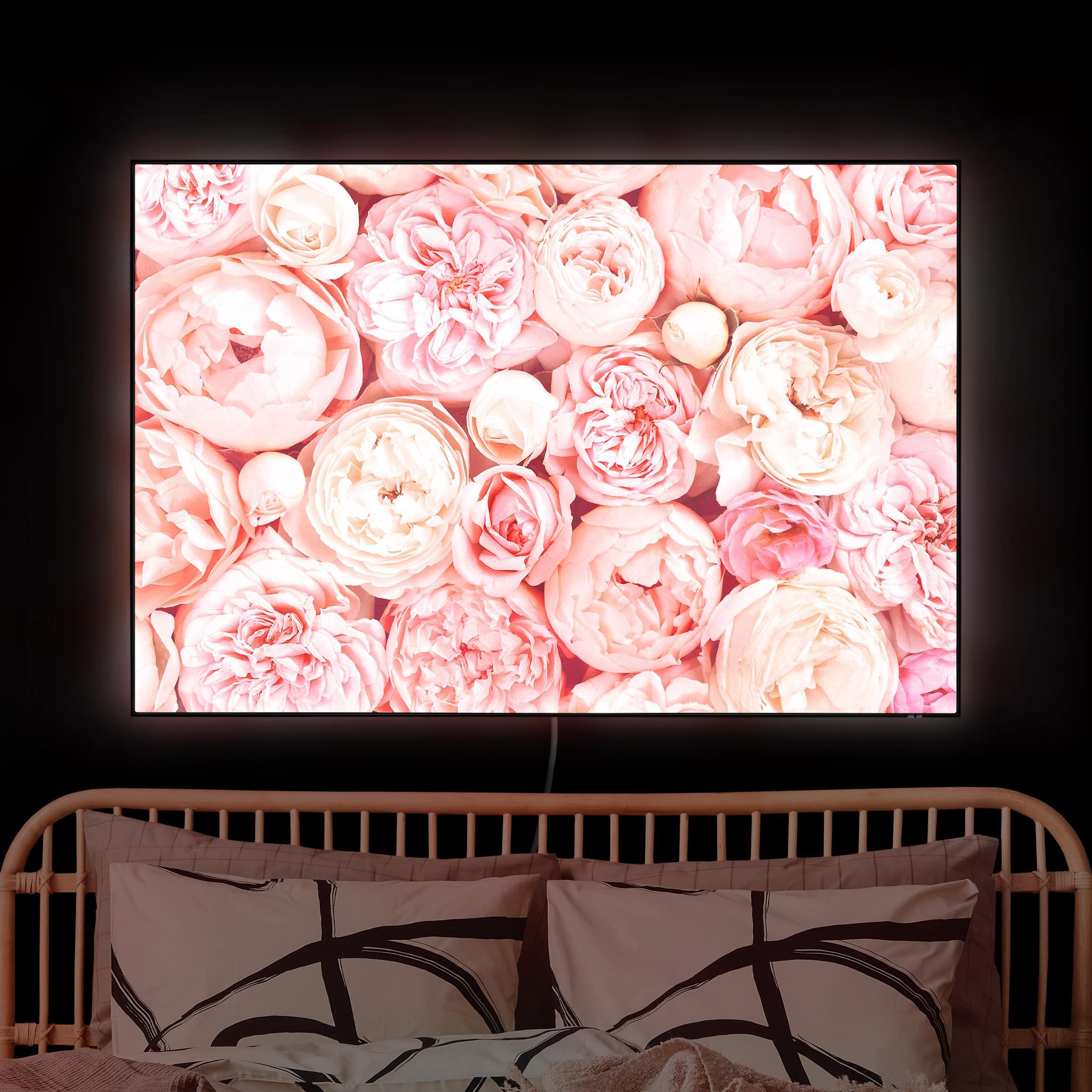 LED-Wechselbild Rosen Rosé Koralle Shabby