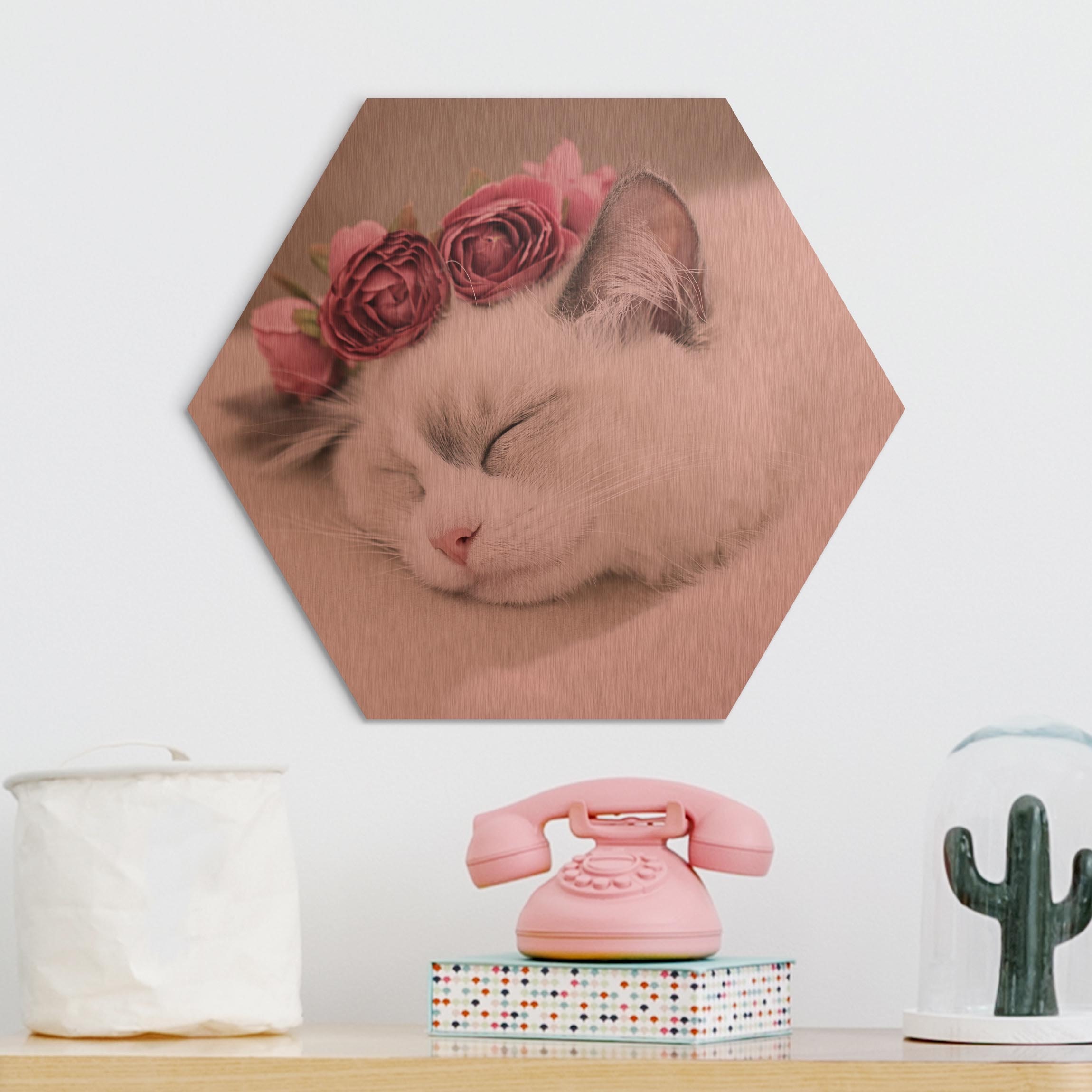 Hexagon-Alu-Dibond Bild Schlafende Katze mit Rosen