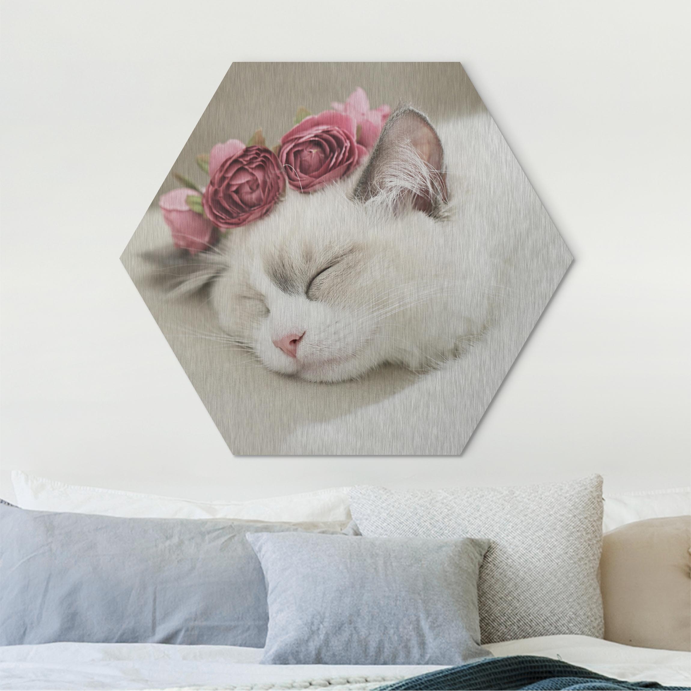 Hexagon-Alu-Dibond Bild Schlafende Katze mit Rosen