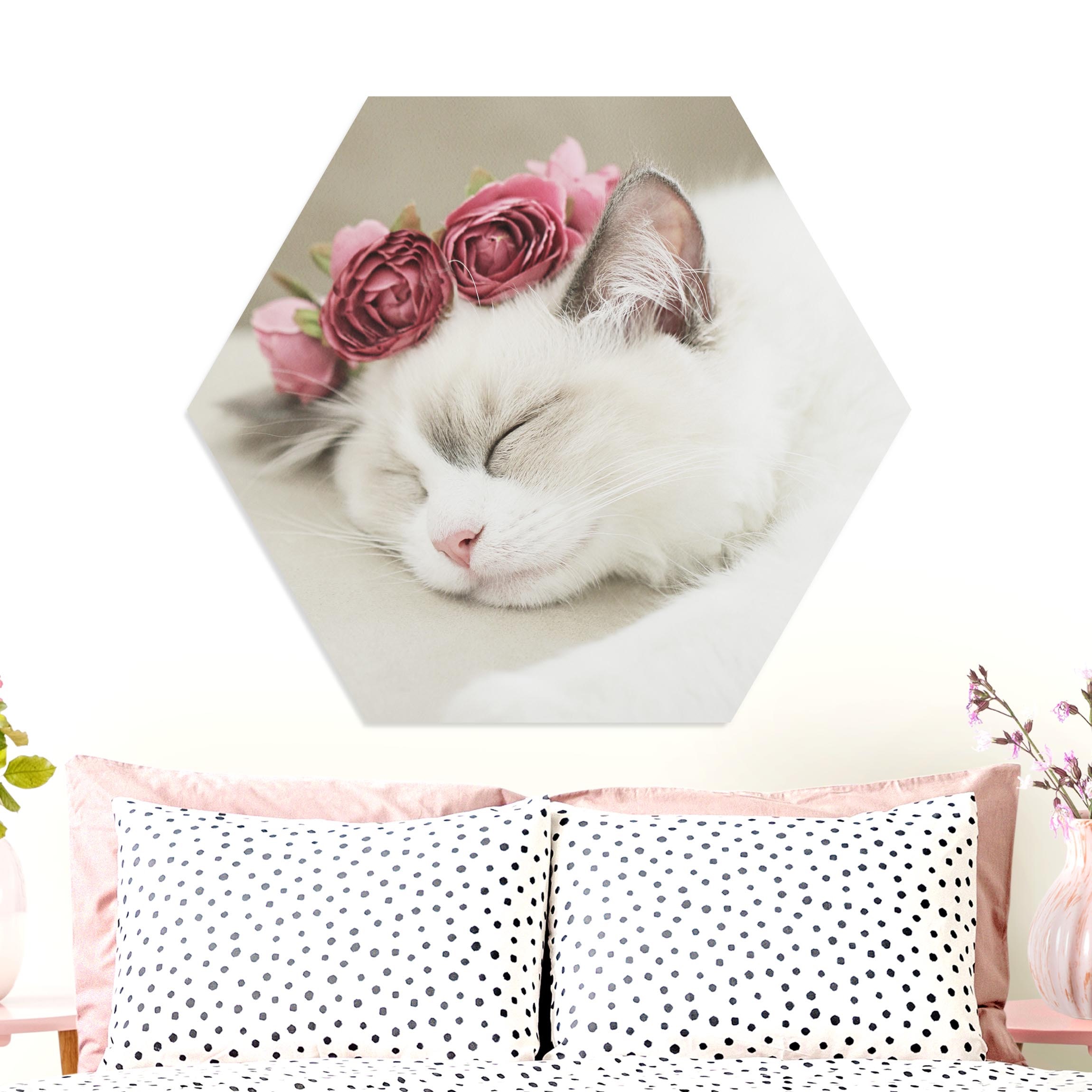 Hexagon-Forexbild Schlafende Katze mit Rosen