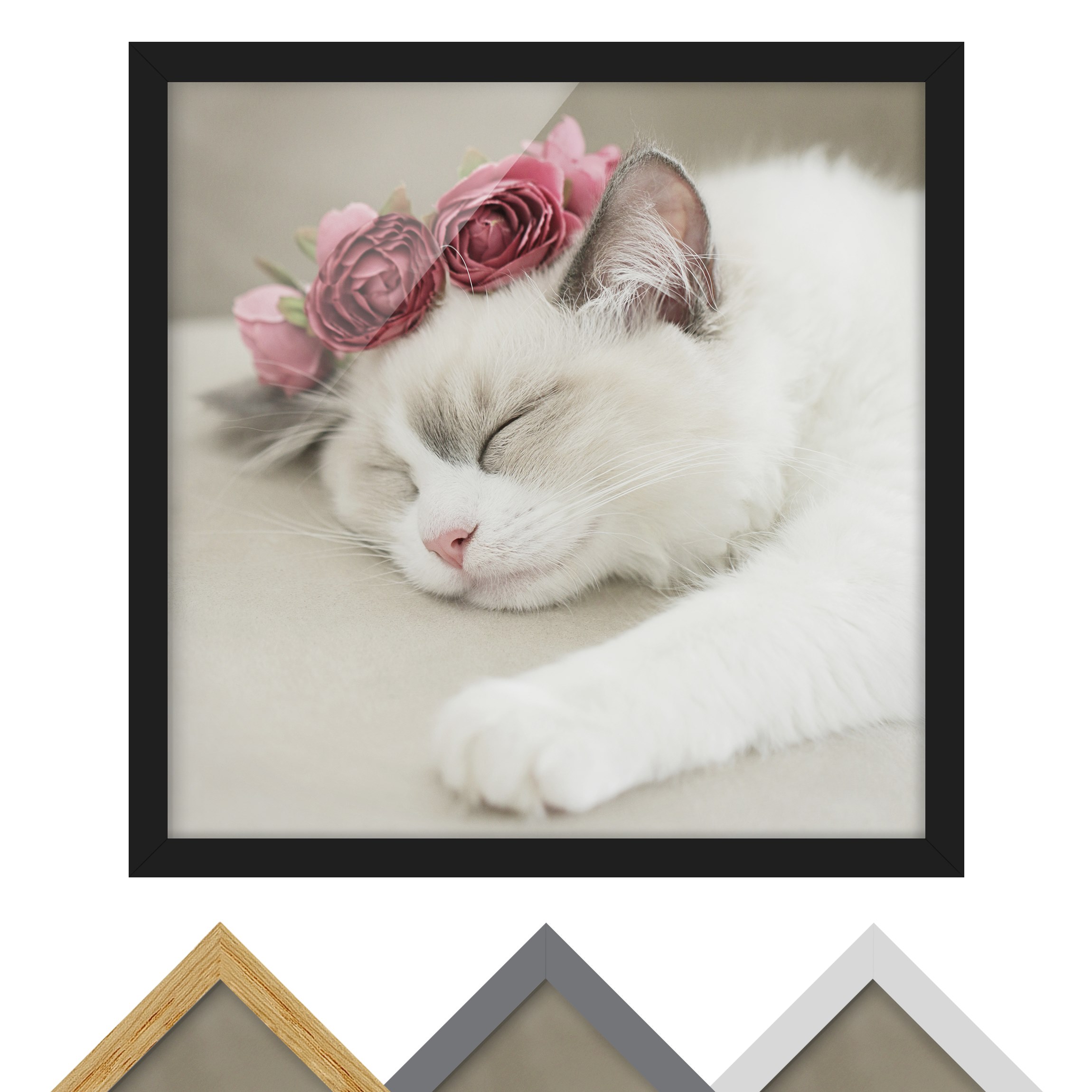 Bild mit Rahmen Schlafende Katze mit Rosen