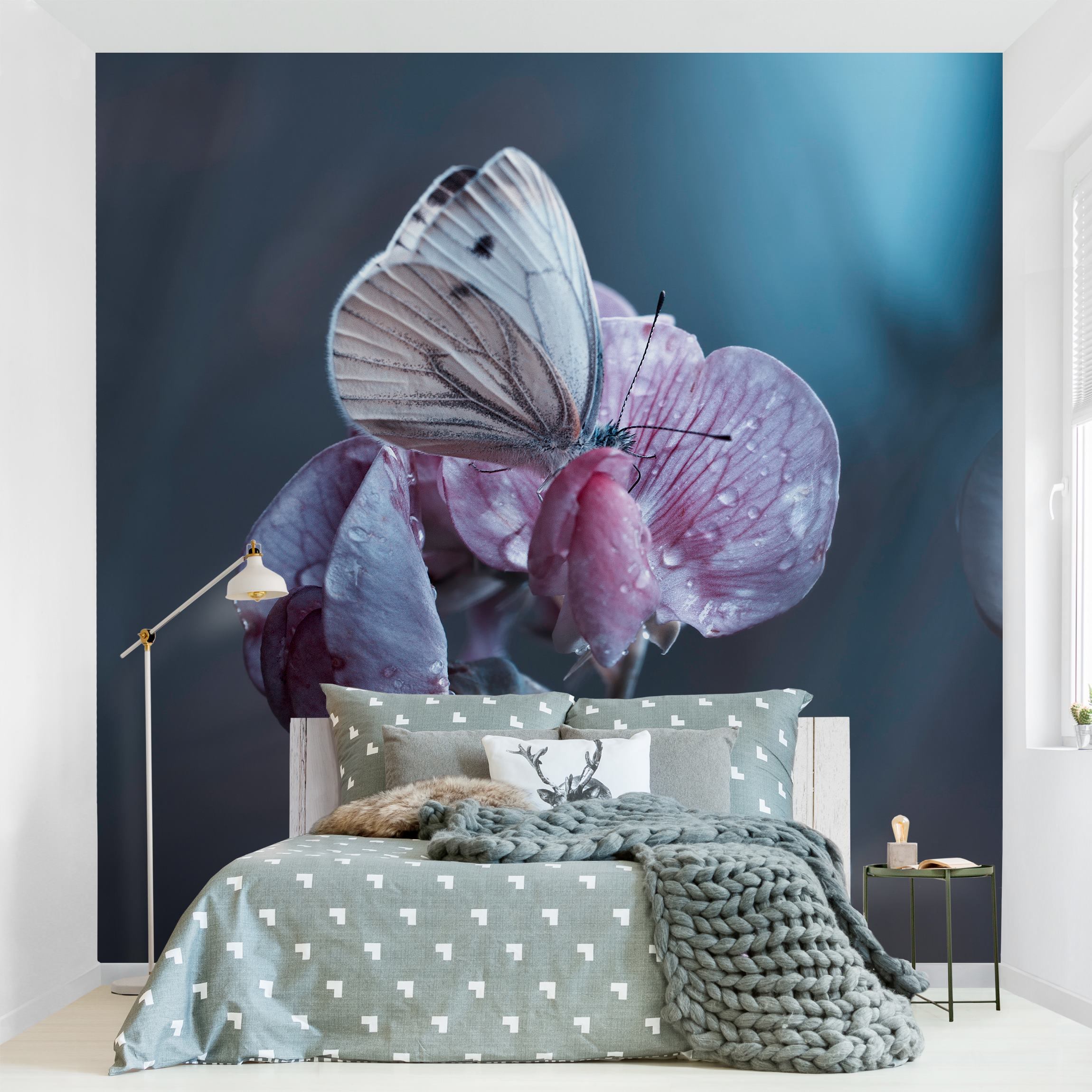 Fototapete Blumen Schmetterling im Regen