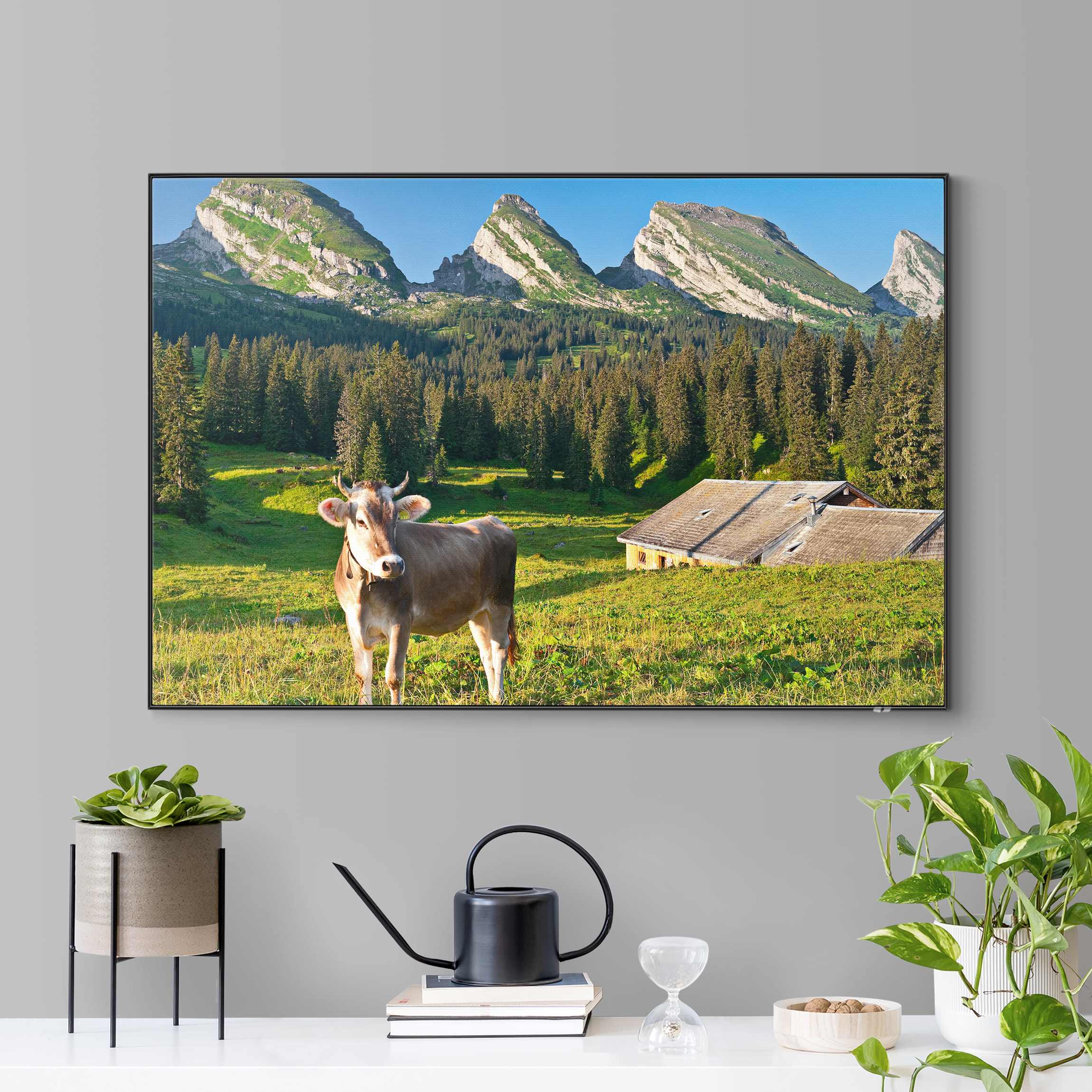 Wechselbild Schweizer Almwiese mit Kuh