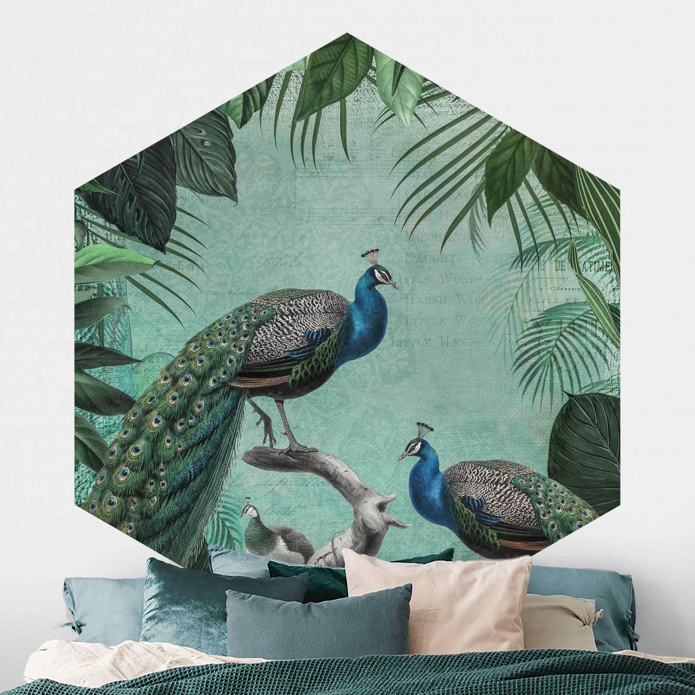 Hexagon Fototapete selbstklebend Shabby Chic Collage - Edler Pfau