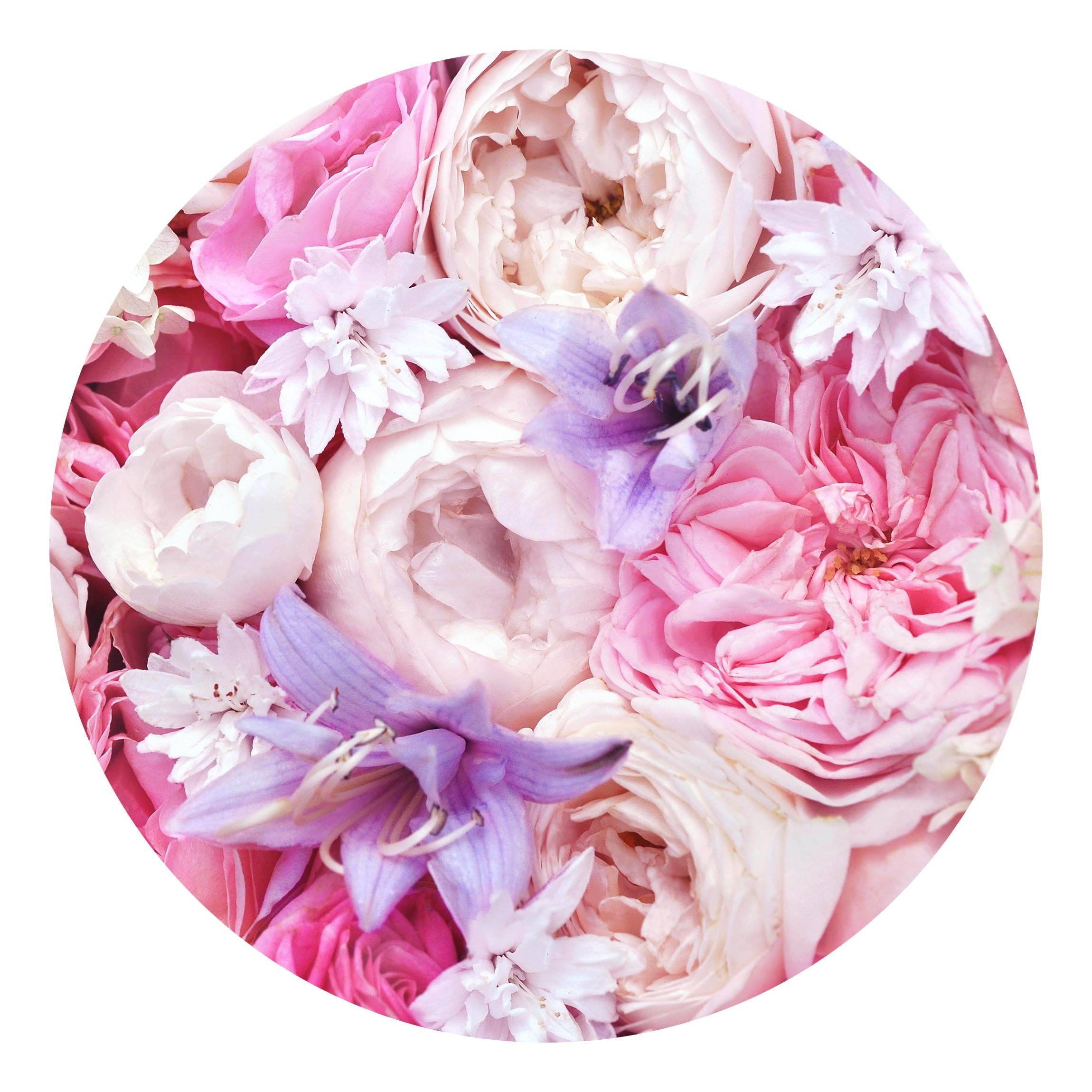 Runde Fototapete selbstklebend Shabby Rosen mit Glockenblumen