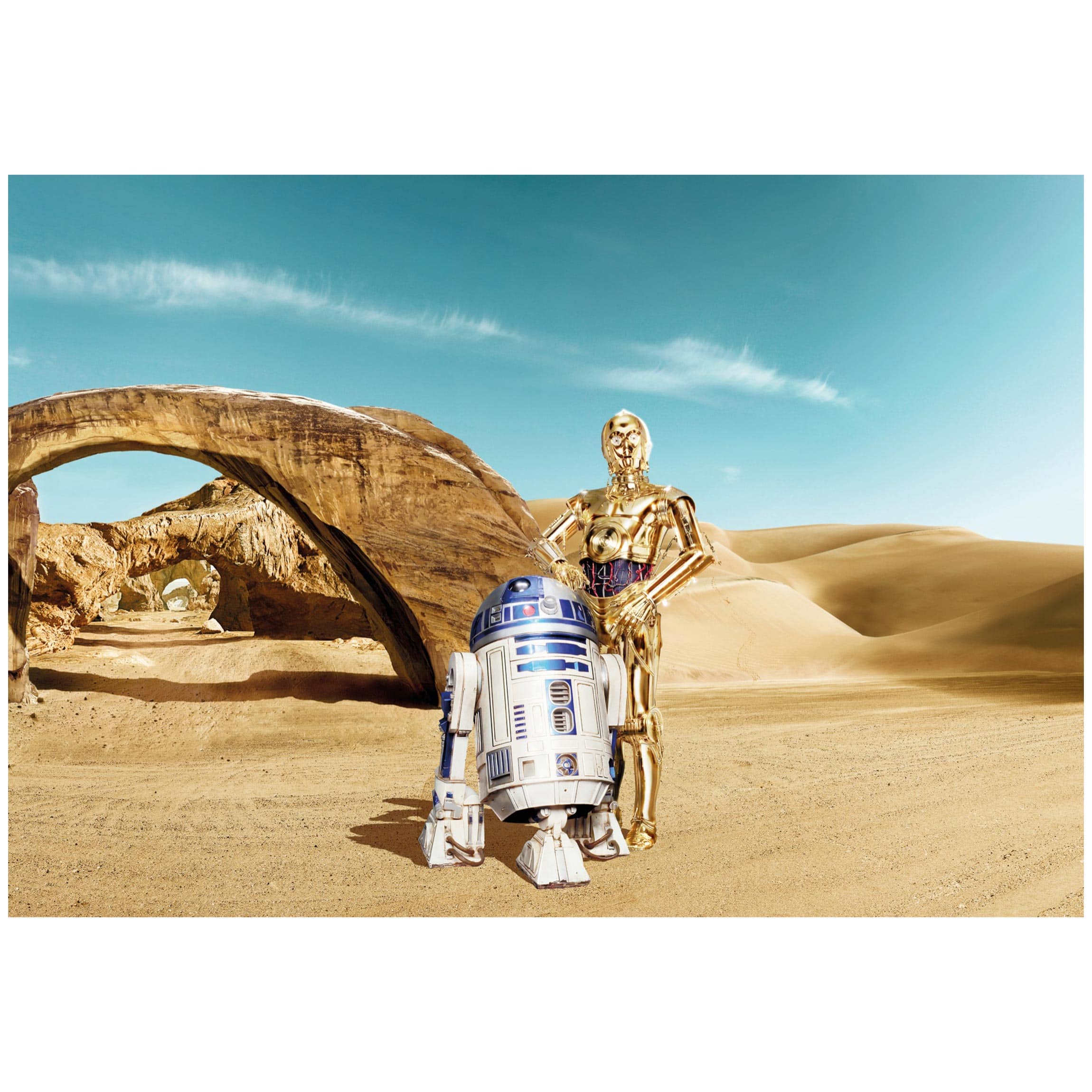 Fototapete Star Wars - C-3PO & R2-D2 Tatooine