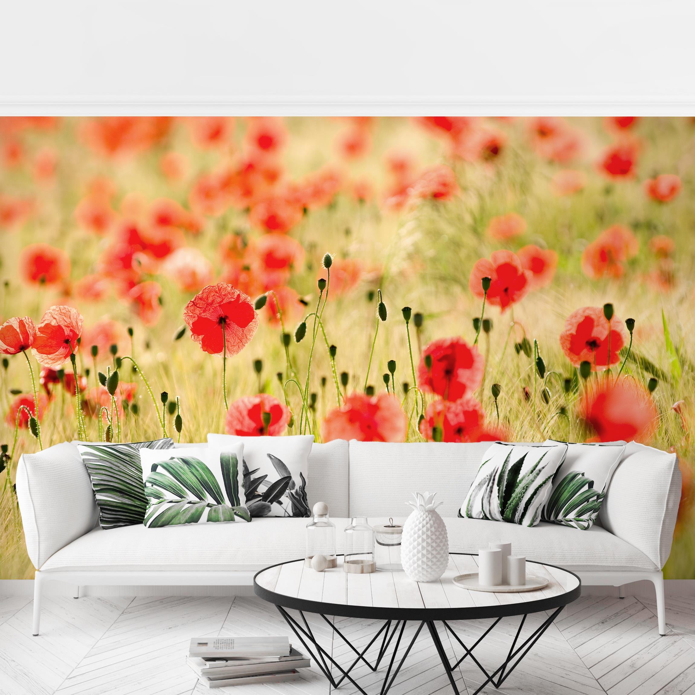 Fototapete Blumen Summer Poppies