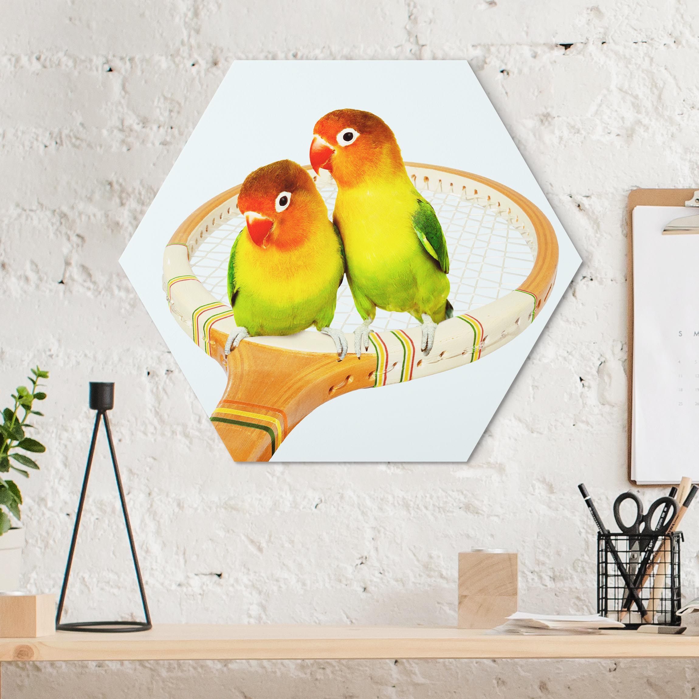 Hexagon-Alu-Dibond Bild Tennis mit Vögeln