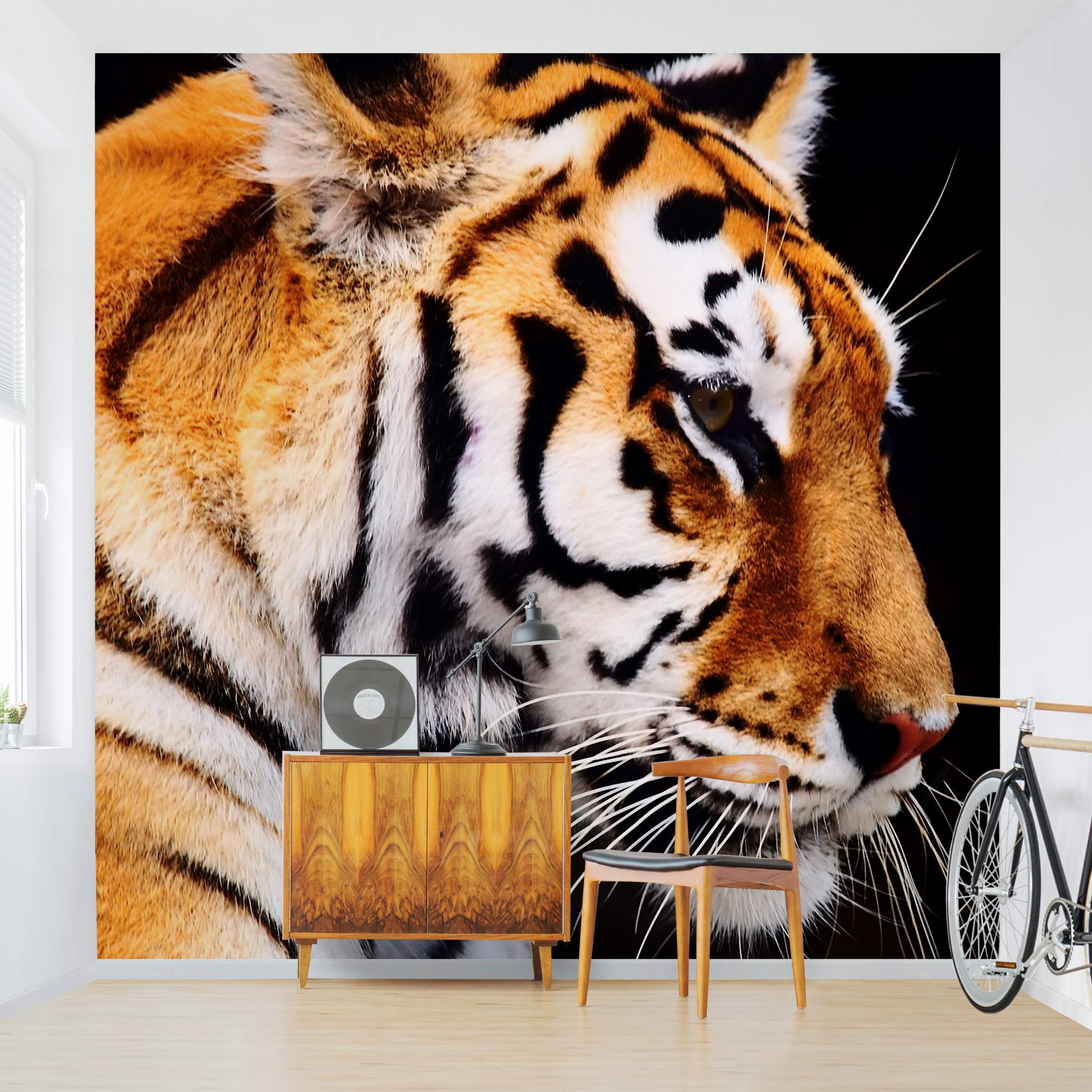 Fototapete Tiere Tiger Schönheit