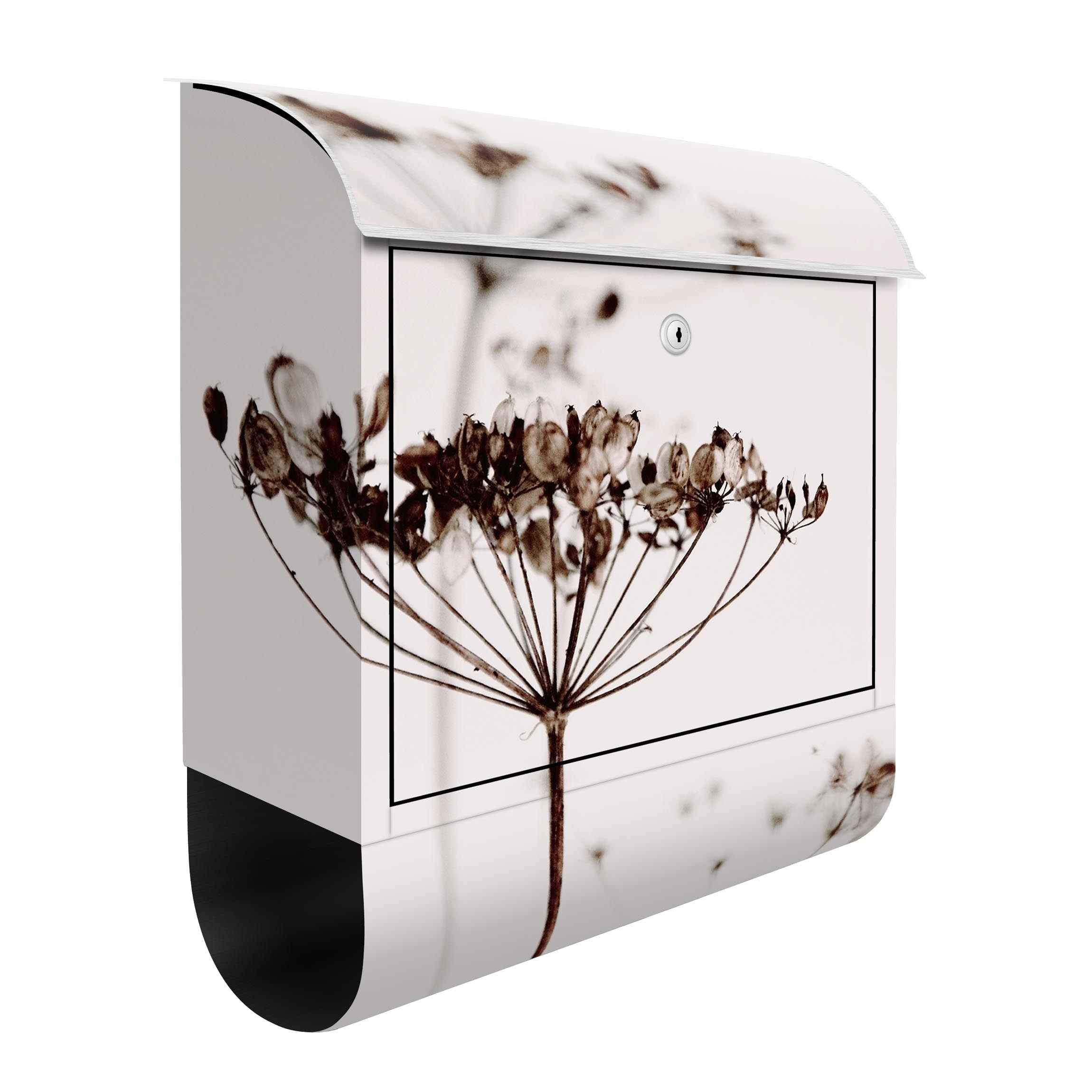 Briefkasten Trockenblume im Schatten
