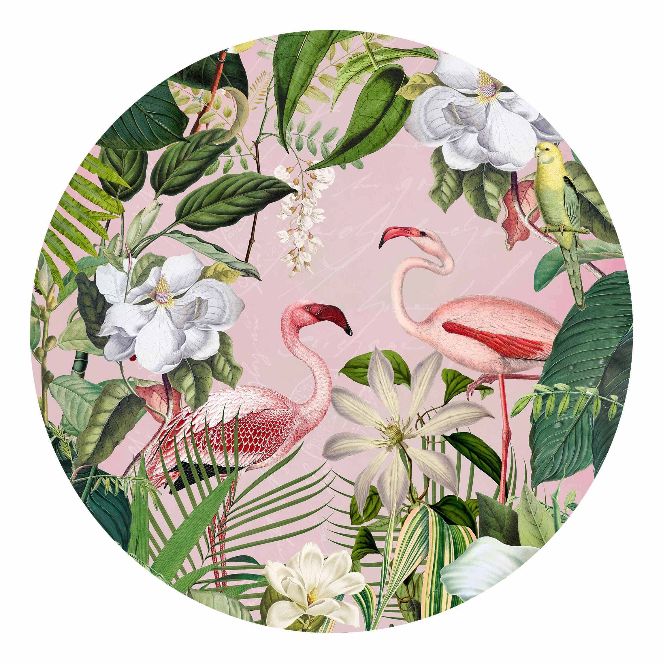 Runde Fototapete Tropische Flamingos mit Pflanzen in Rosa