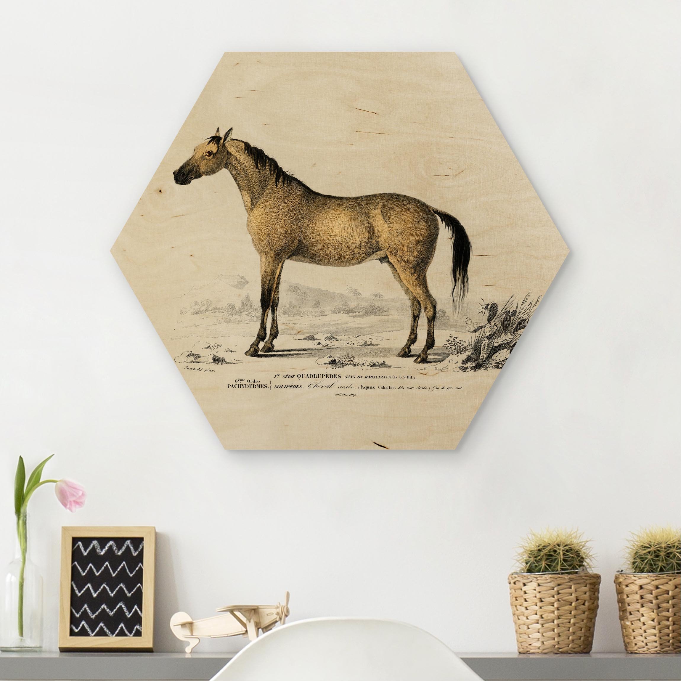 Hexagon-Holzbild Vintage Lehrtafel Pferd