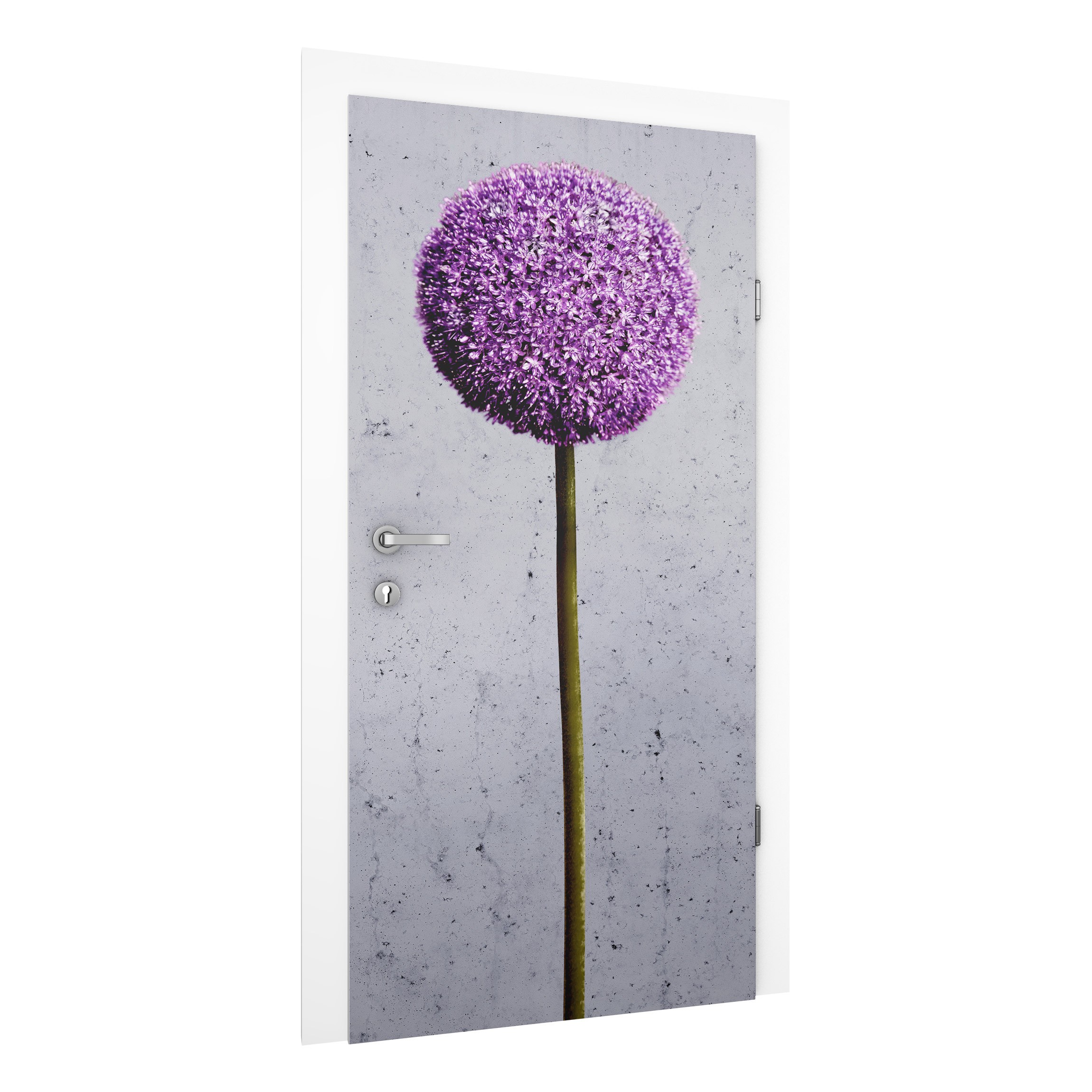 Türtapete Allium Kugel-Blüten