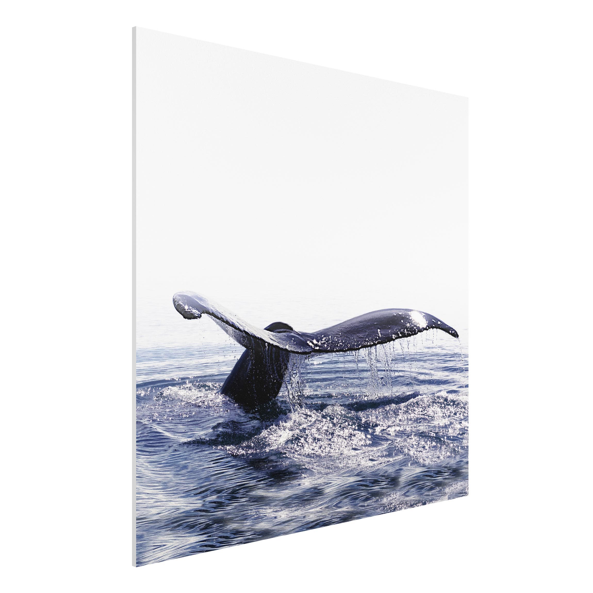 Forexbild Wal Gesang auf Island