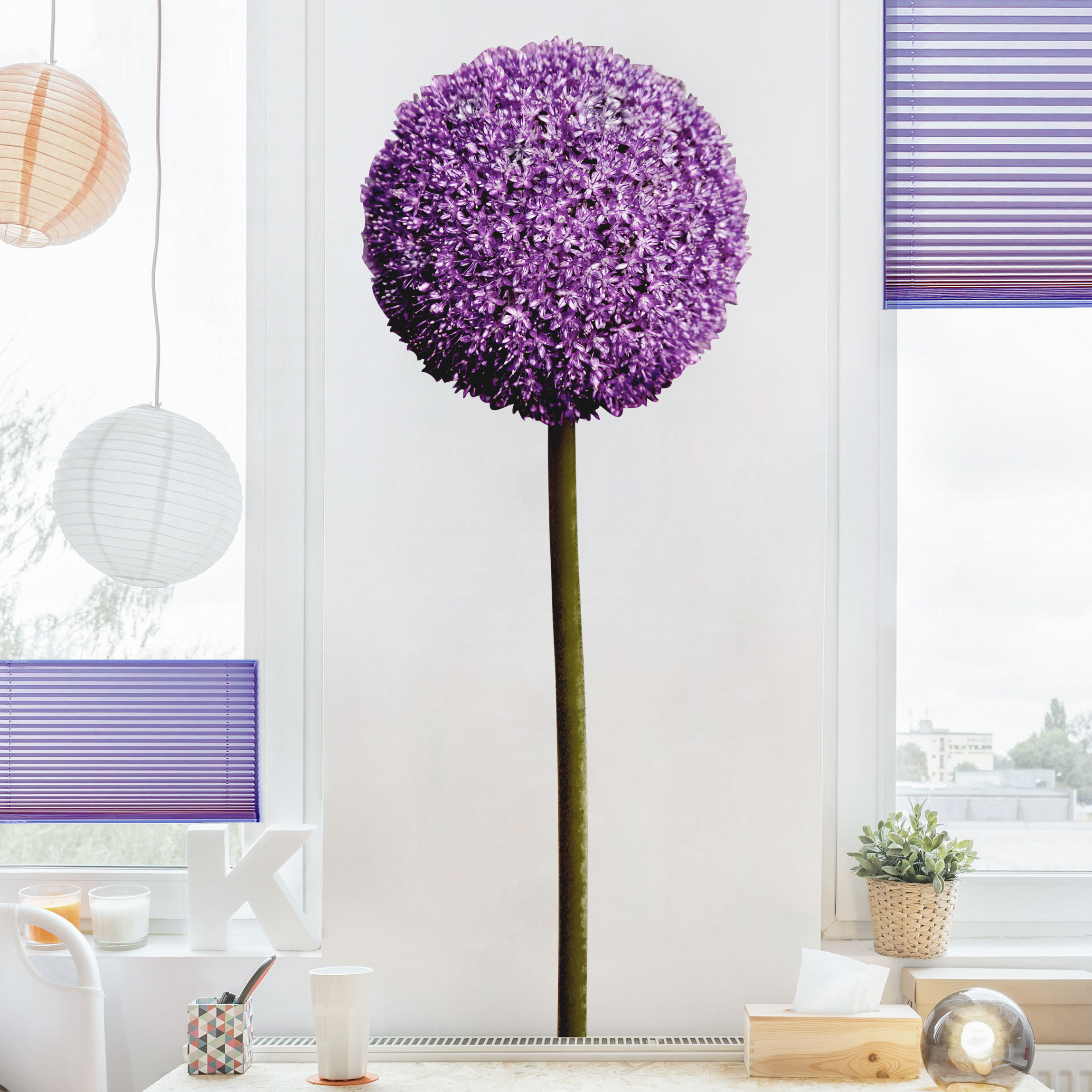 Wandtattoo Allium Kugel-Blüten 1er Set