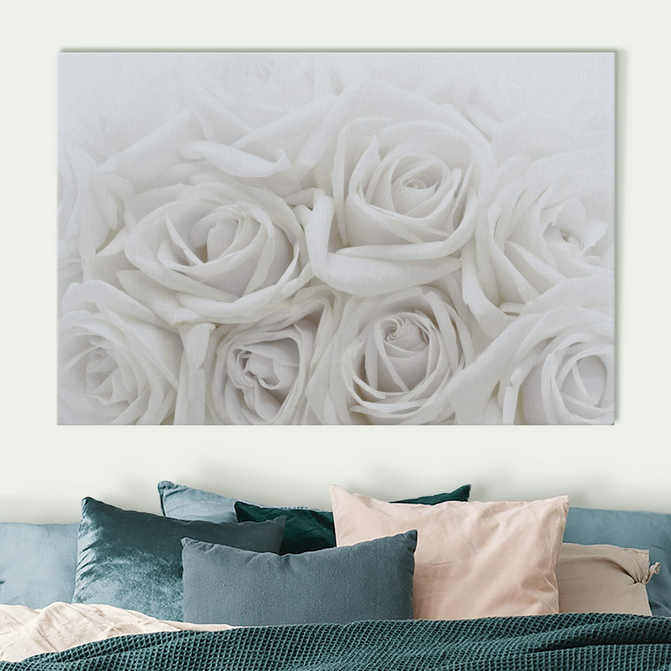 Akustikbild Weiße Rosen