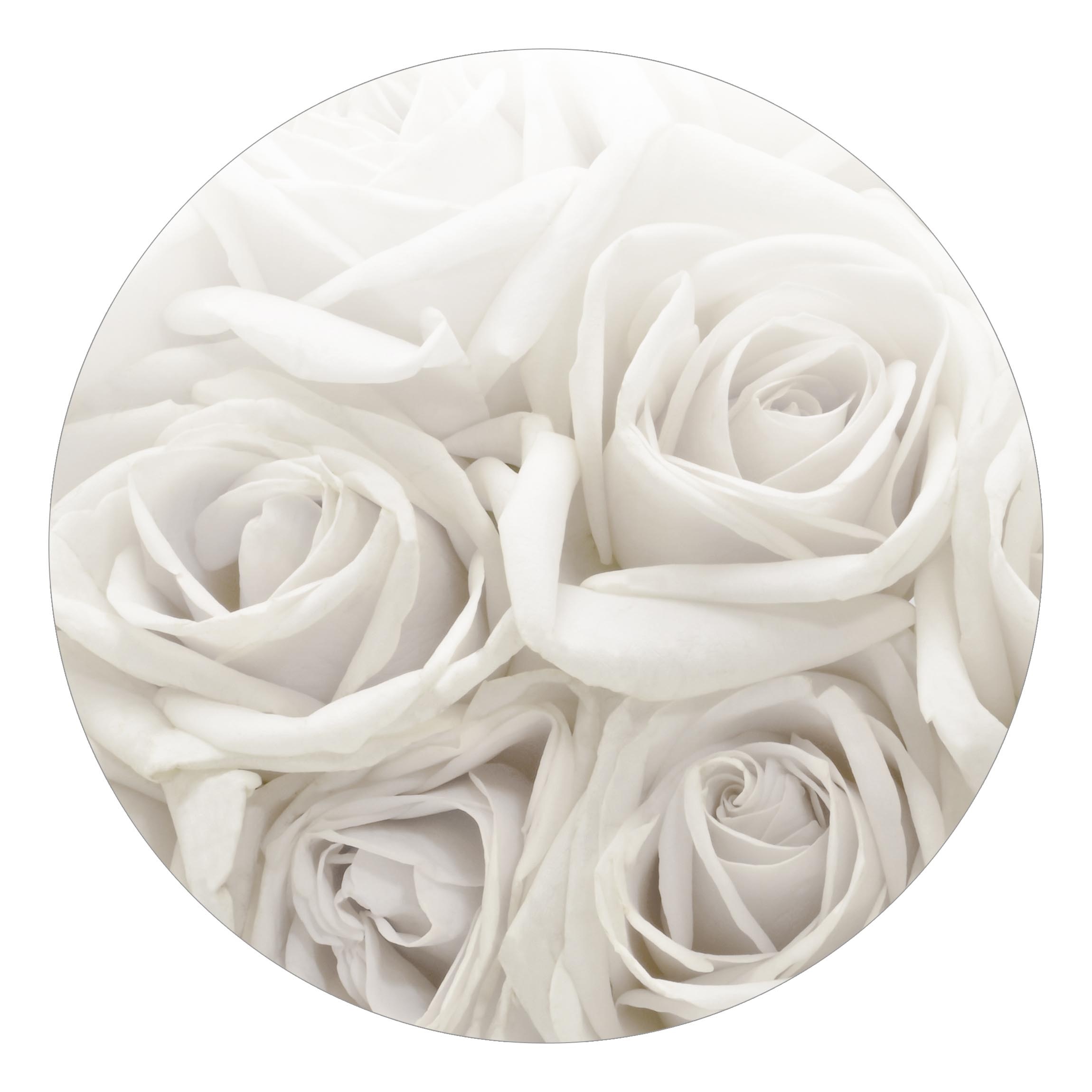 Runde Fototapete selbstklebend Weiße Rosen
