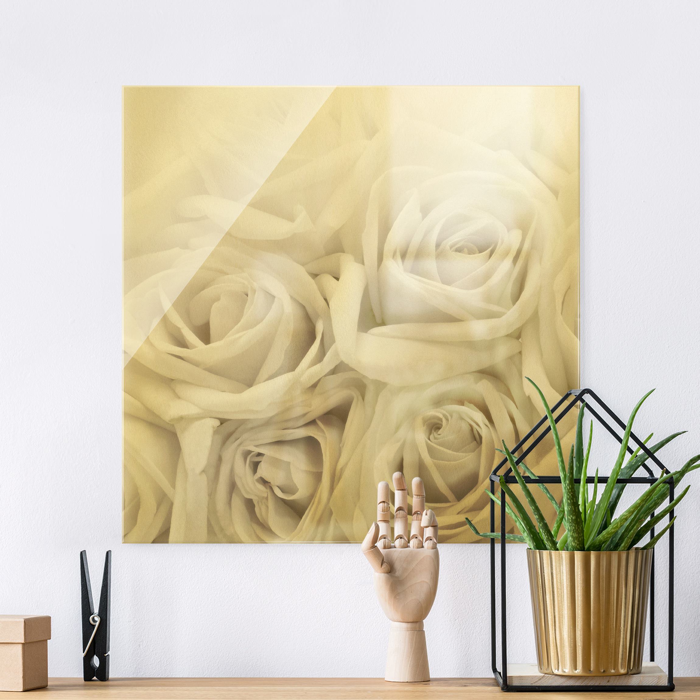 Glasbild Weiße Rosen