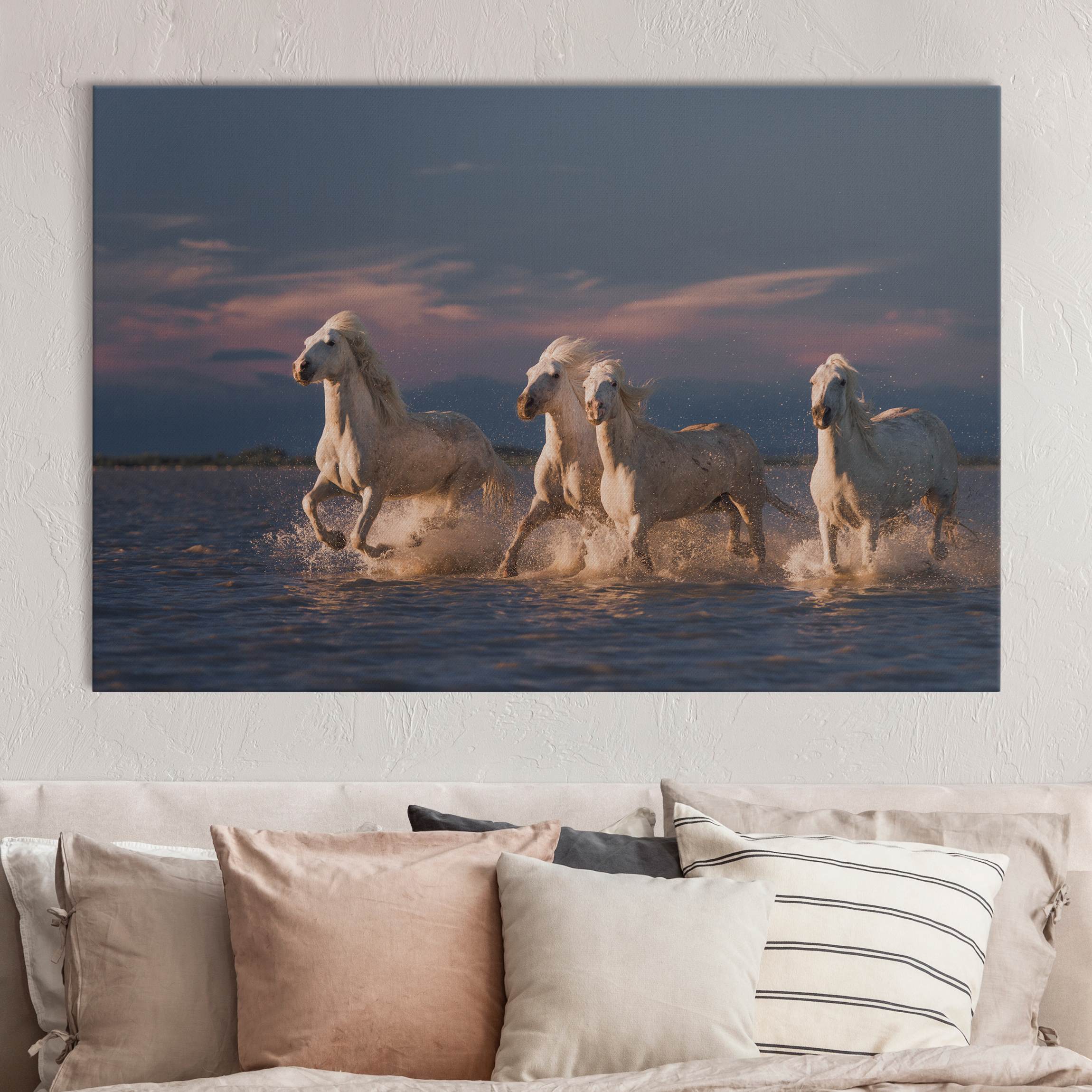 Akustikbild Wilde Pferde in Kamargue