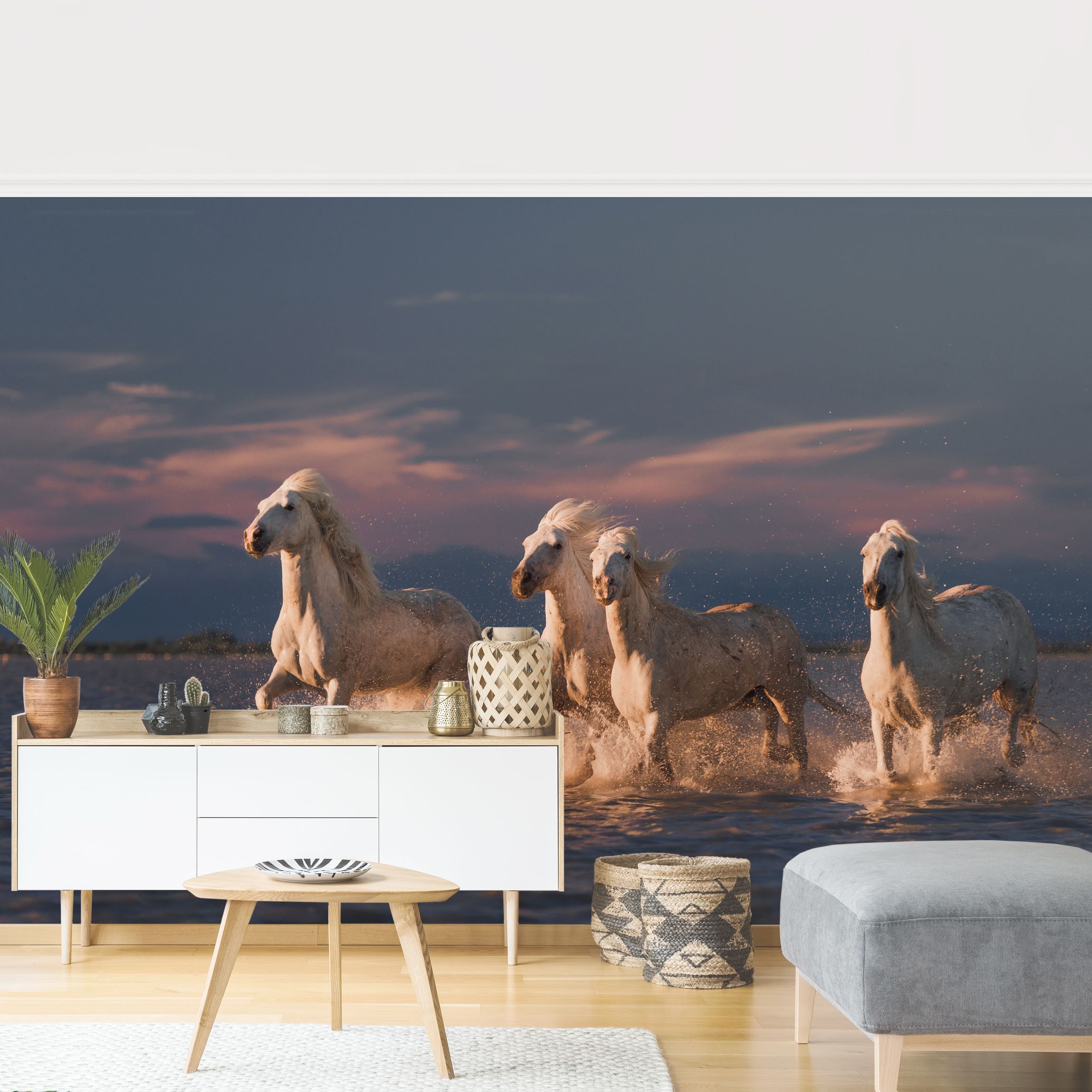 Fototapete Tiere Wilde Pferde in Kamargue