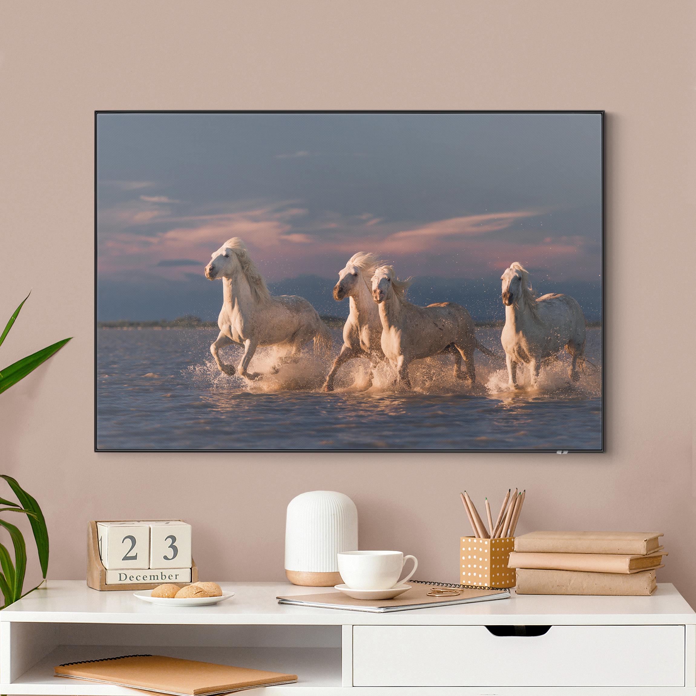 Wechselbild Wilde Pferde in Kamargue