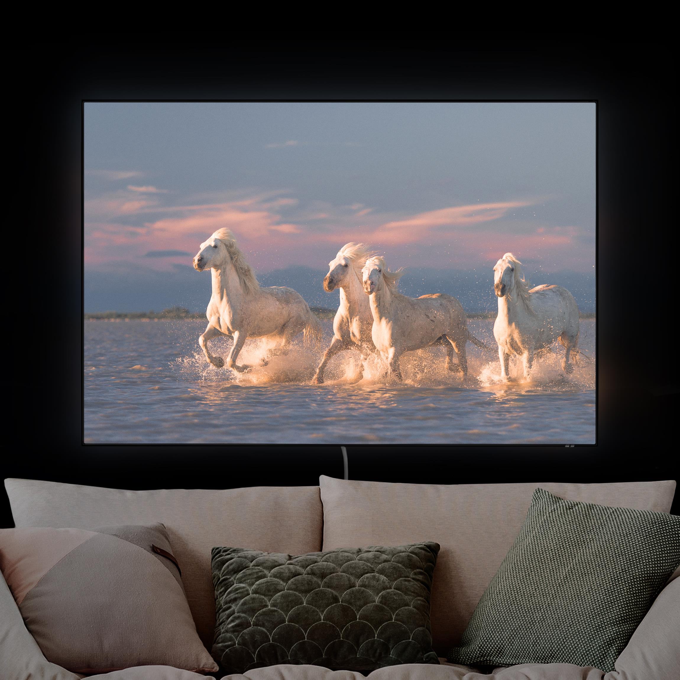 LED-Wechselbild Wilde Pferde in Kamargue