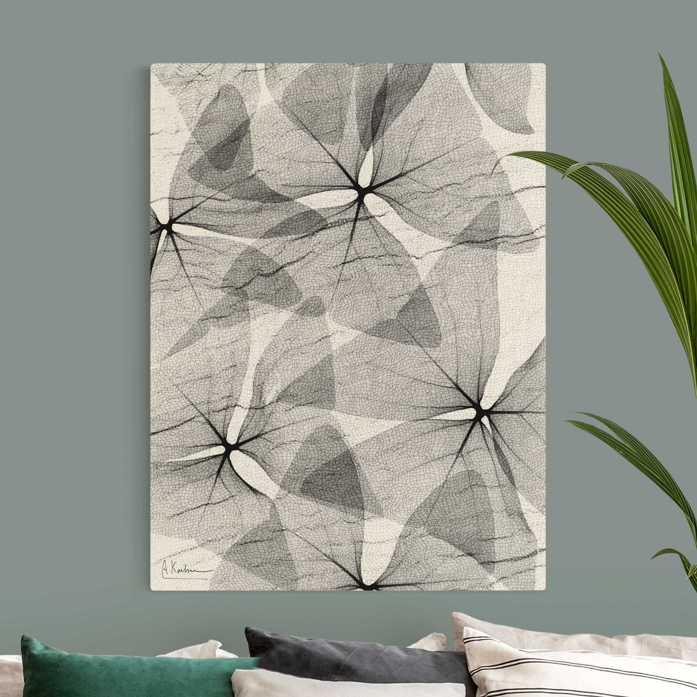 Leinwandbild auf Naturcanvas X-Ray - Dreiecksklee mit Textil